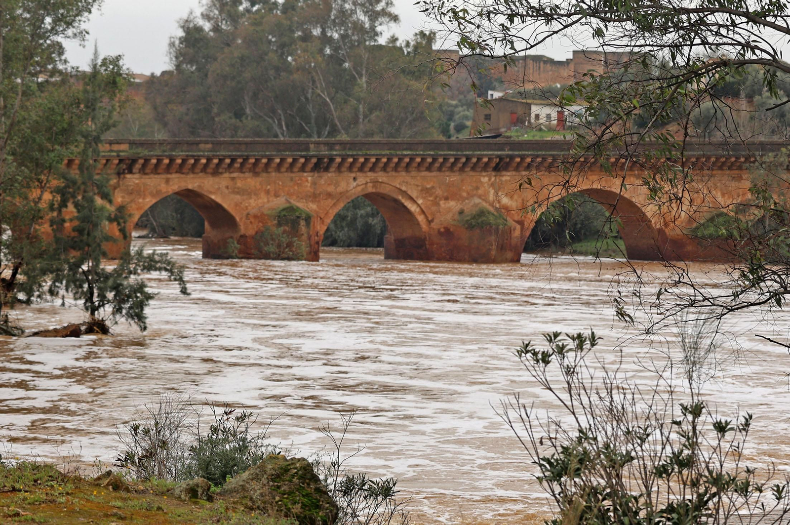 Imágenes del río Tinto a su paso por Niebla tras la borrasca Garoé