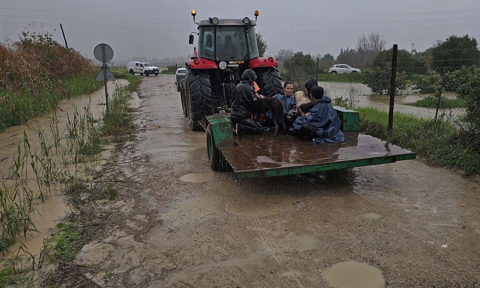 Fotos de las inundaciones y efectos de la borrasca Francis en Los Barrios, Tesorillo y Jimena