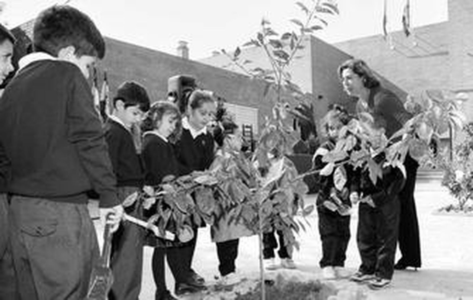 María del Carmen Palma y José Manuel García, junto a la 'tarta'.
