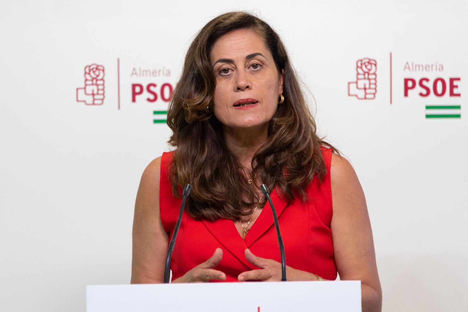 La diputada socialista Carmen Aguilar.