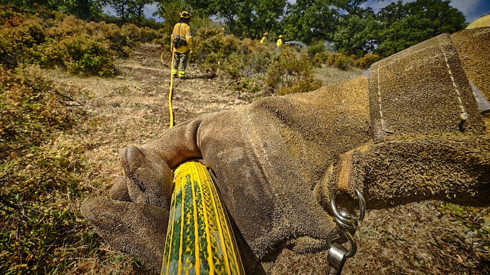 Simulacro de incendio del CEDEFO de Algodonales.