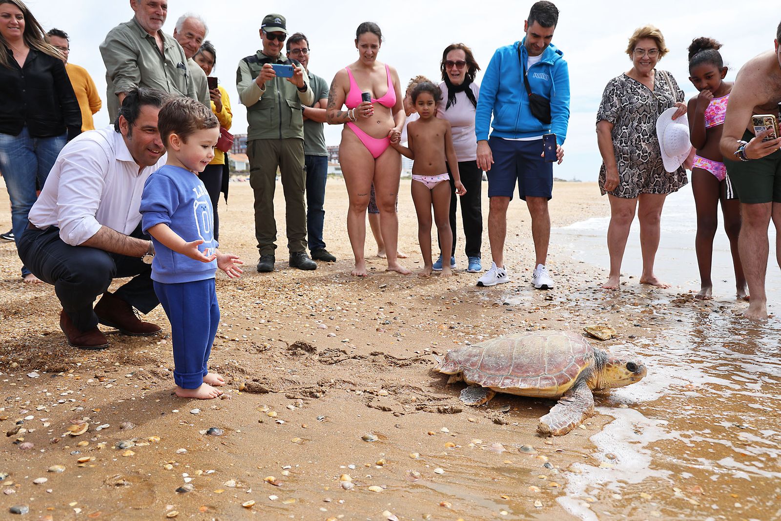 Imágenes de la suelta de una tortuga marina boba recuperada en el CEGMA de Algeciras