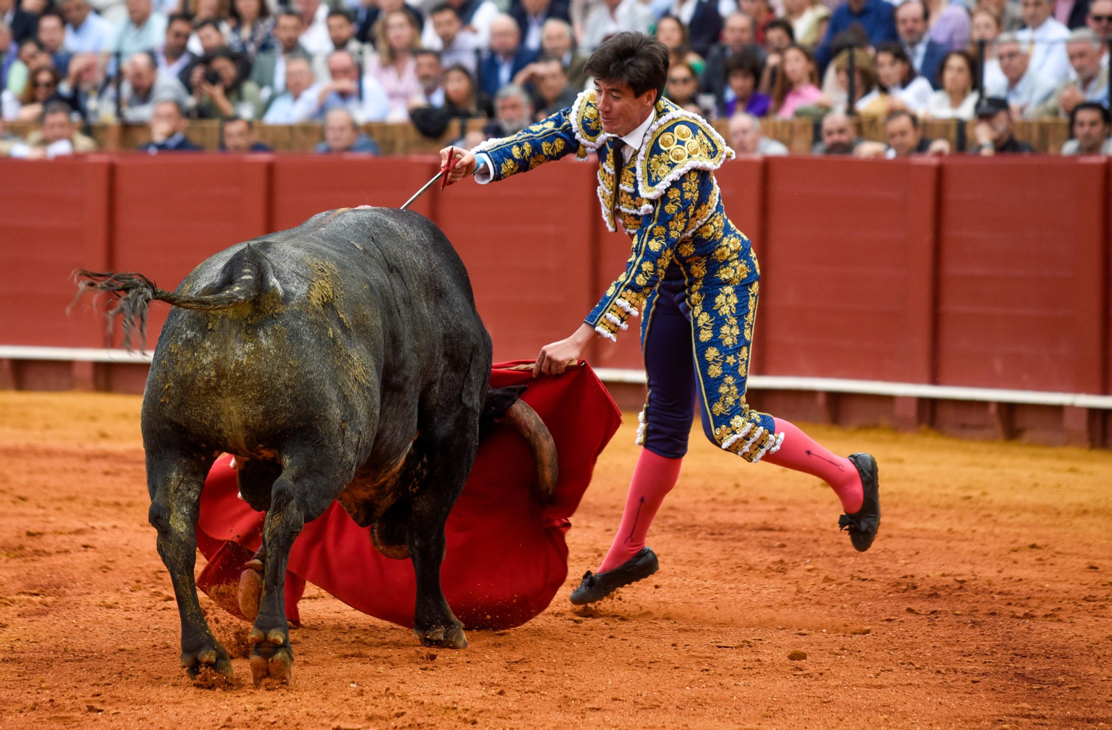 Las imágenes de la corrida de toros de El Fandi, Manuel Escribano y Esaú Fernández