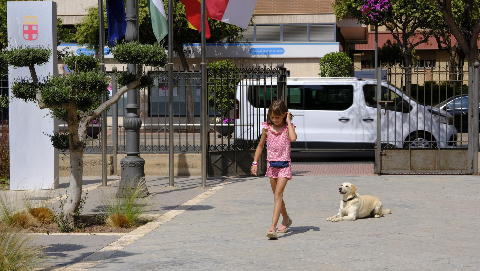 Aria, una perra adoptada, Campeona de España de búsqueda y marcaje de objetos, en imágenes