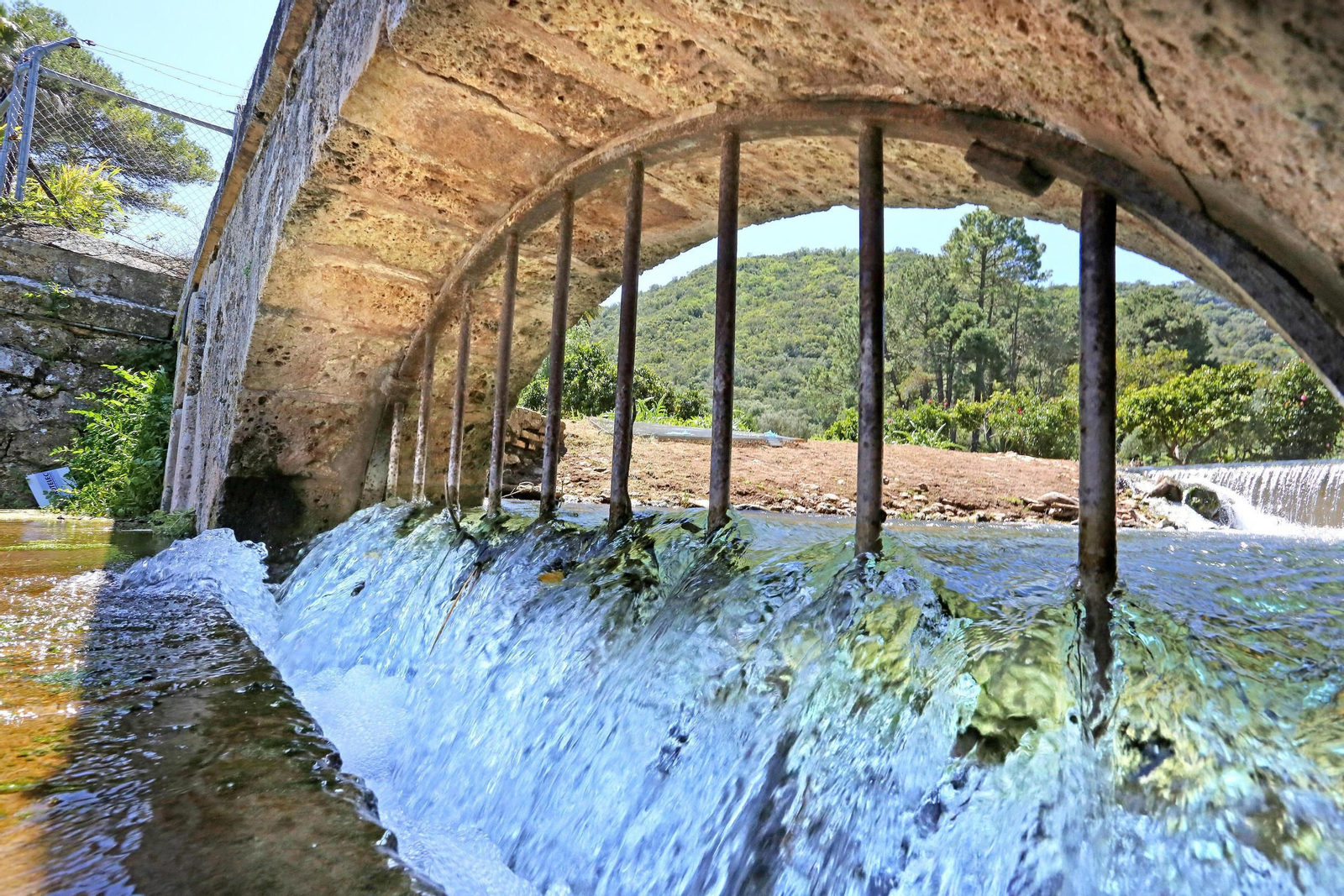 Una vista del manantial del Tempul, en San José del Valle, en una imagen de ayer.