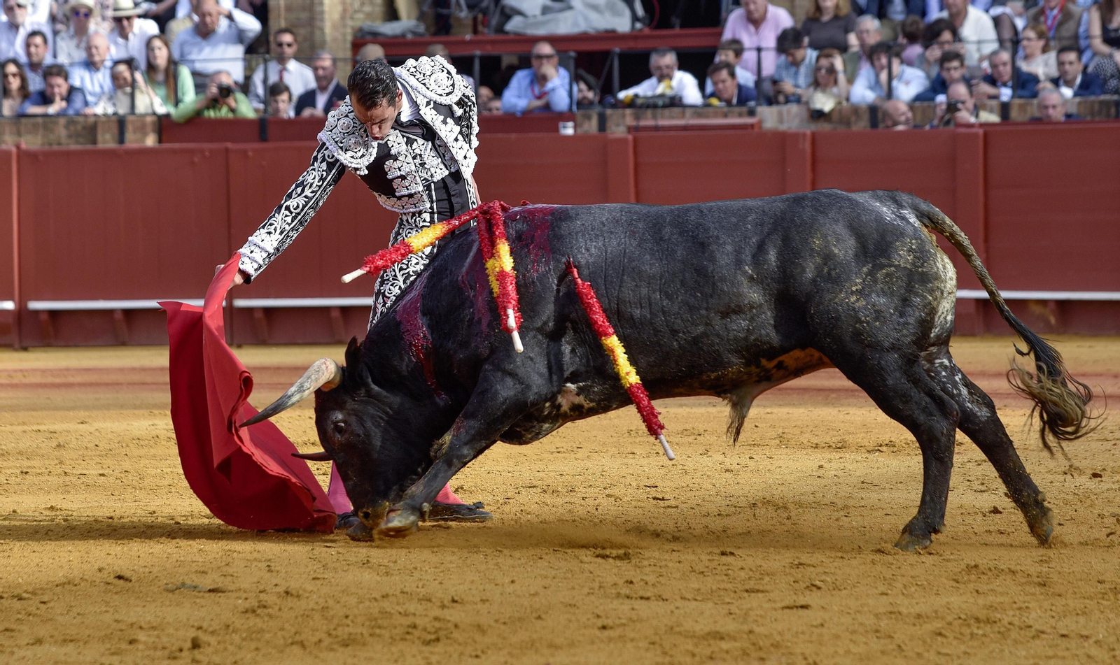 Las imágenes de la 14ª de abono de la Maestranza