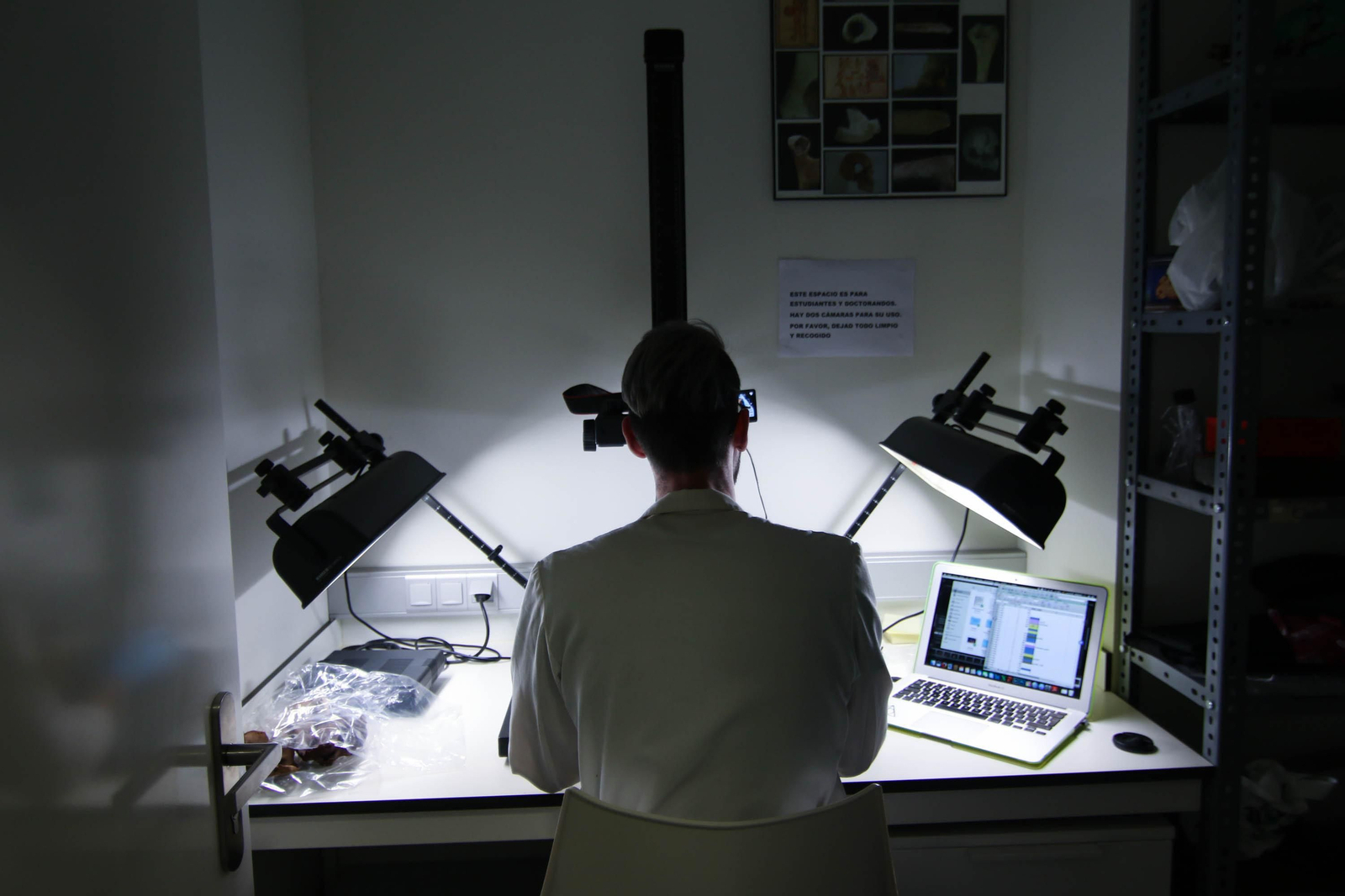 Investigador en el laboratorio de Antropología de la Facultad de Medicina.