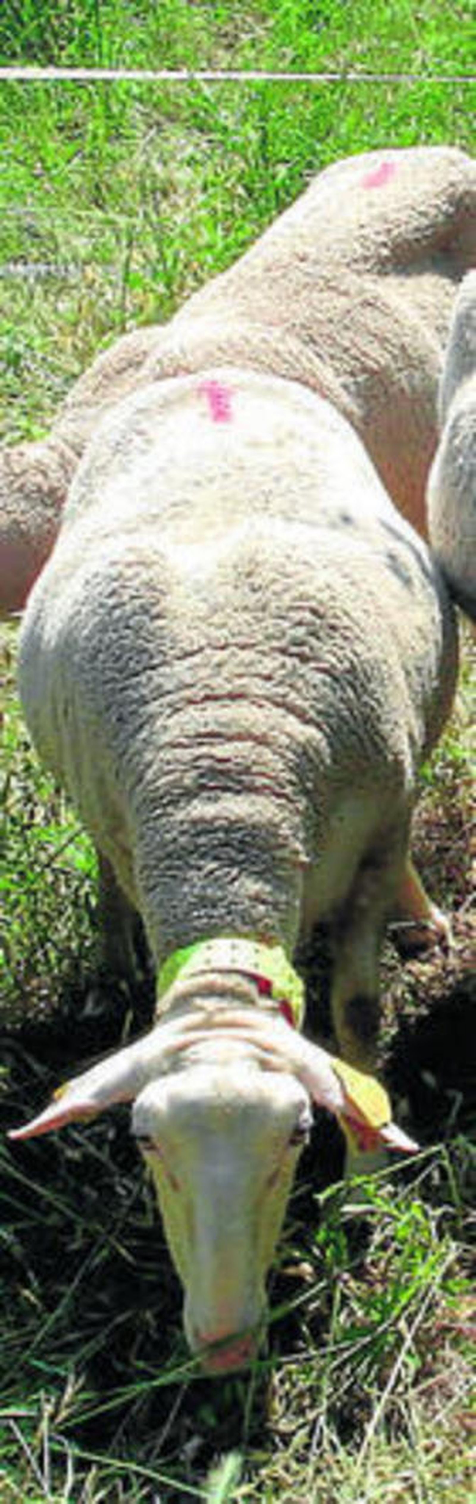 Las diez dudas más frecuentes sobre la PAC