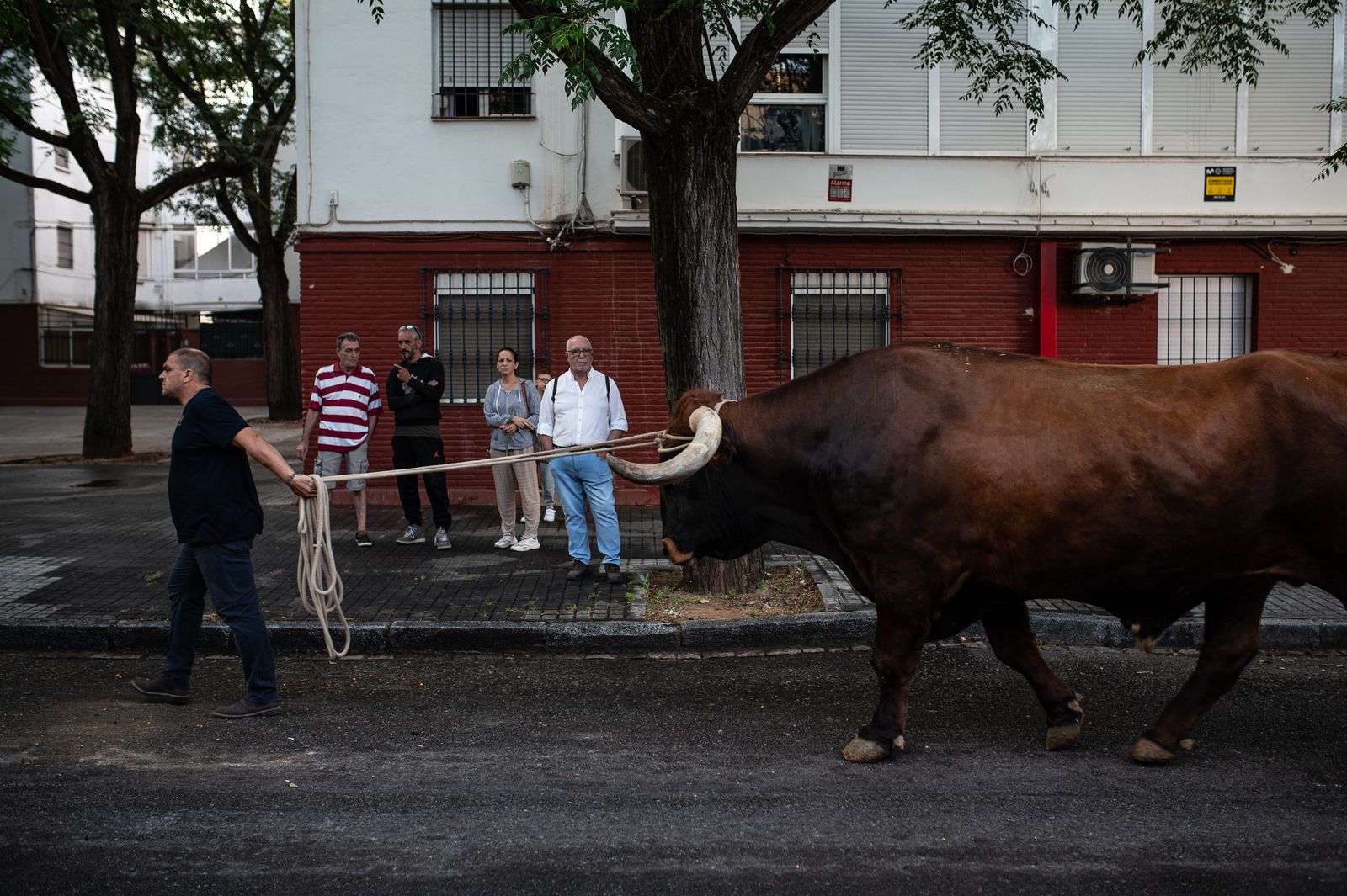 La Hermandad de Sevilla Sur
