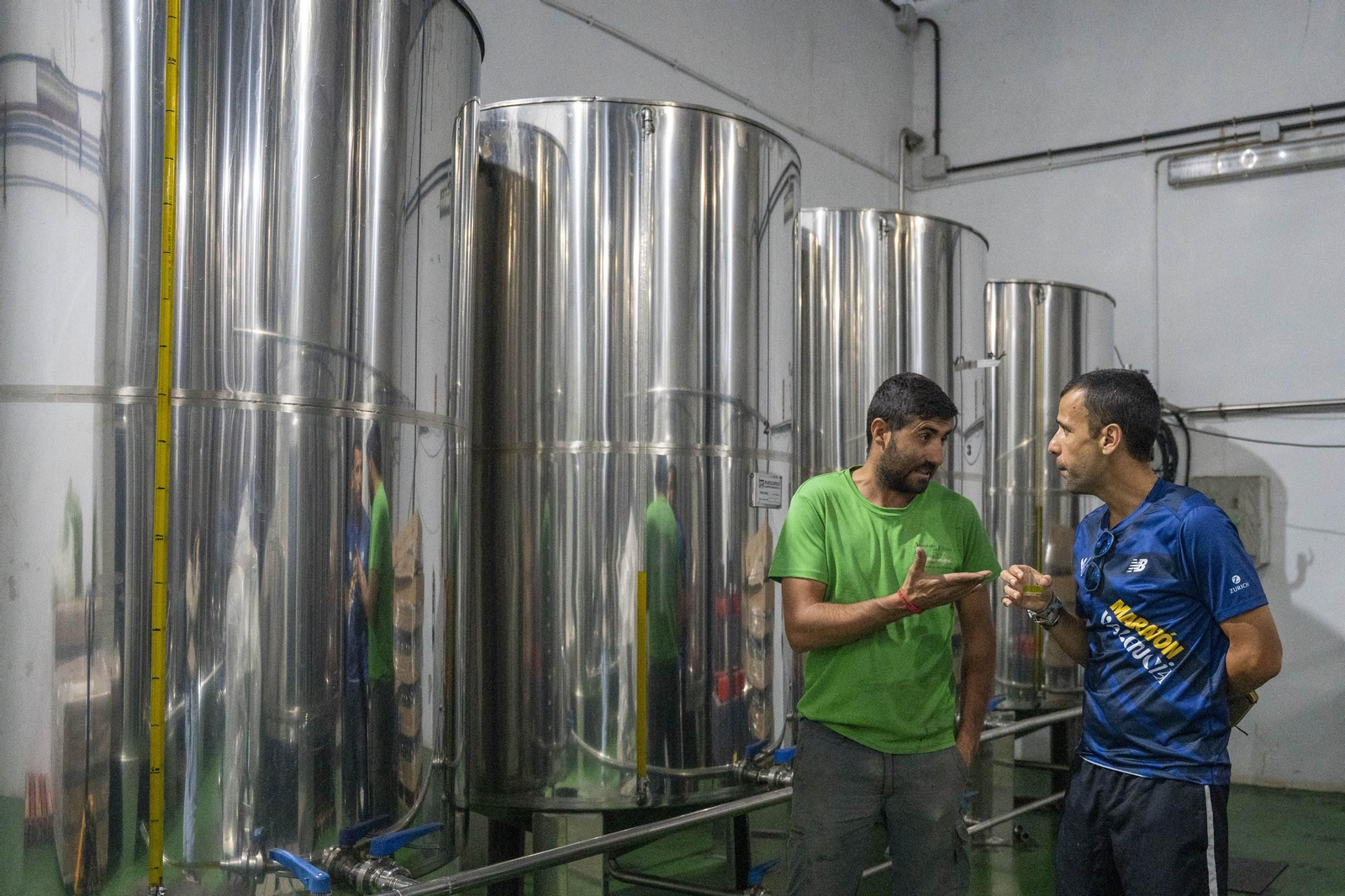 Os enseñamos como se hace el aceite en la almazara de Fiñana, en imágenes