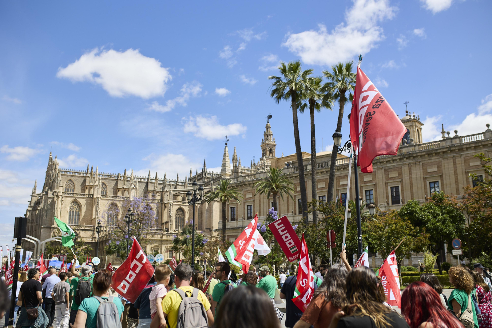 Las imágenes de la manifestación de docentes