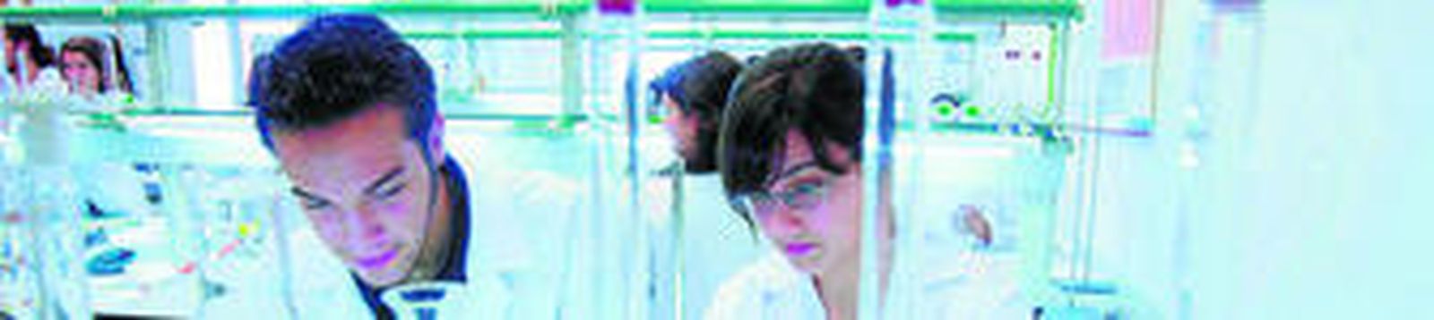 Las 'carreras bio' vuelven a mandar