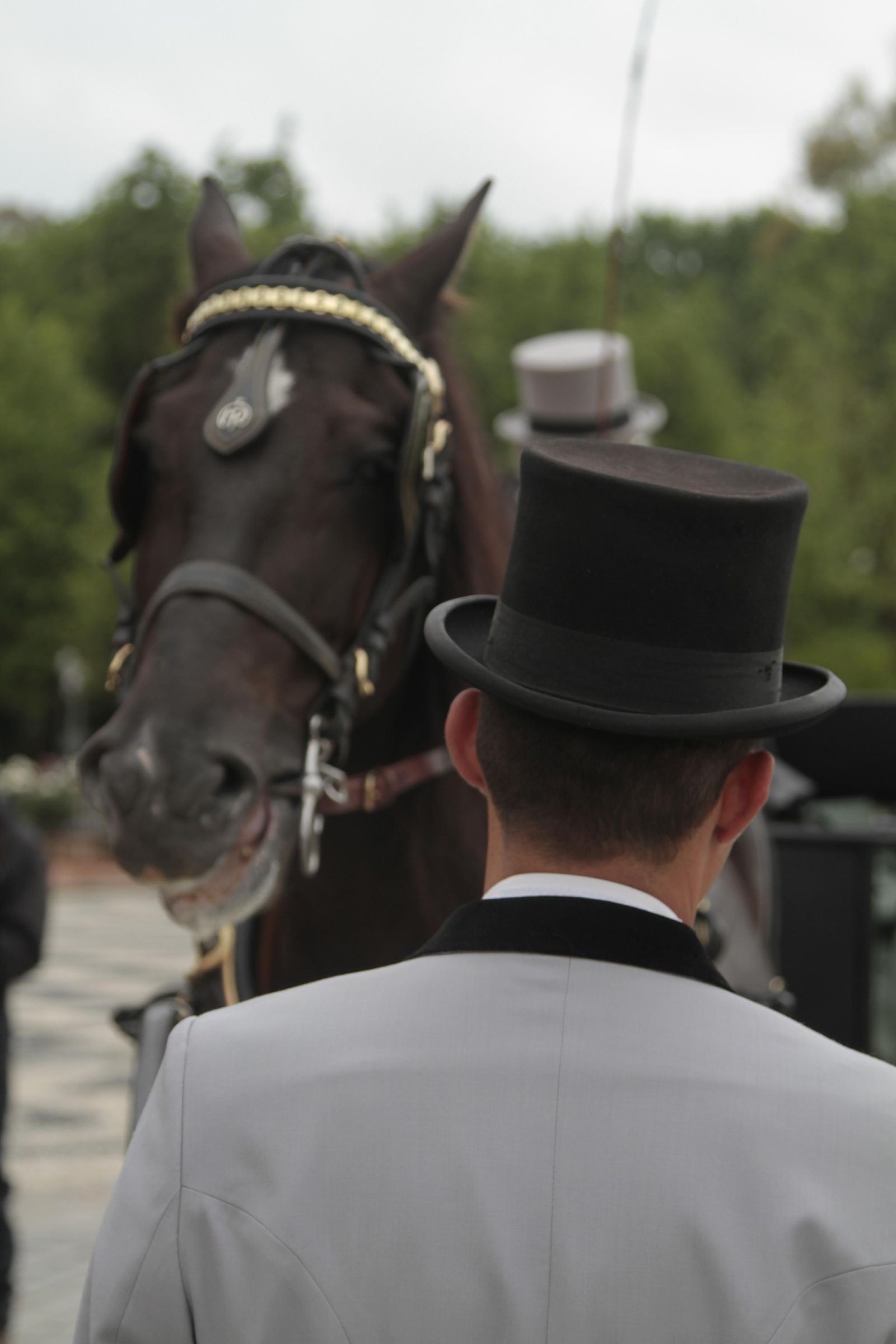 Los mejor del Concurso Internacional de enganches de Sevilla