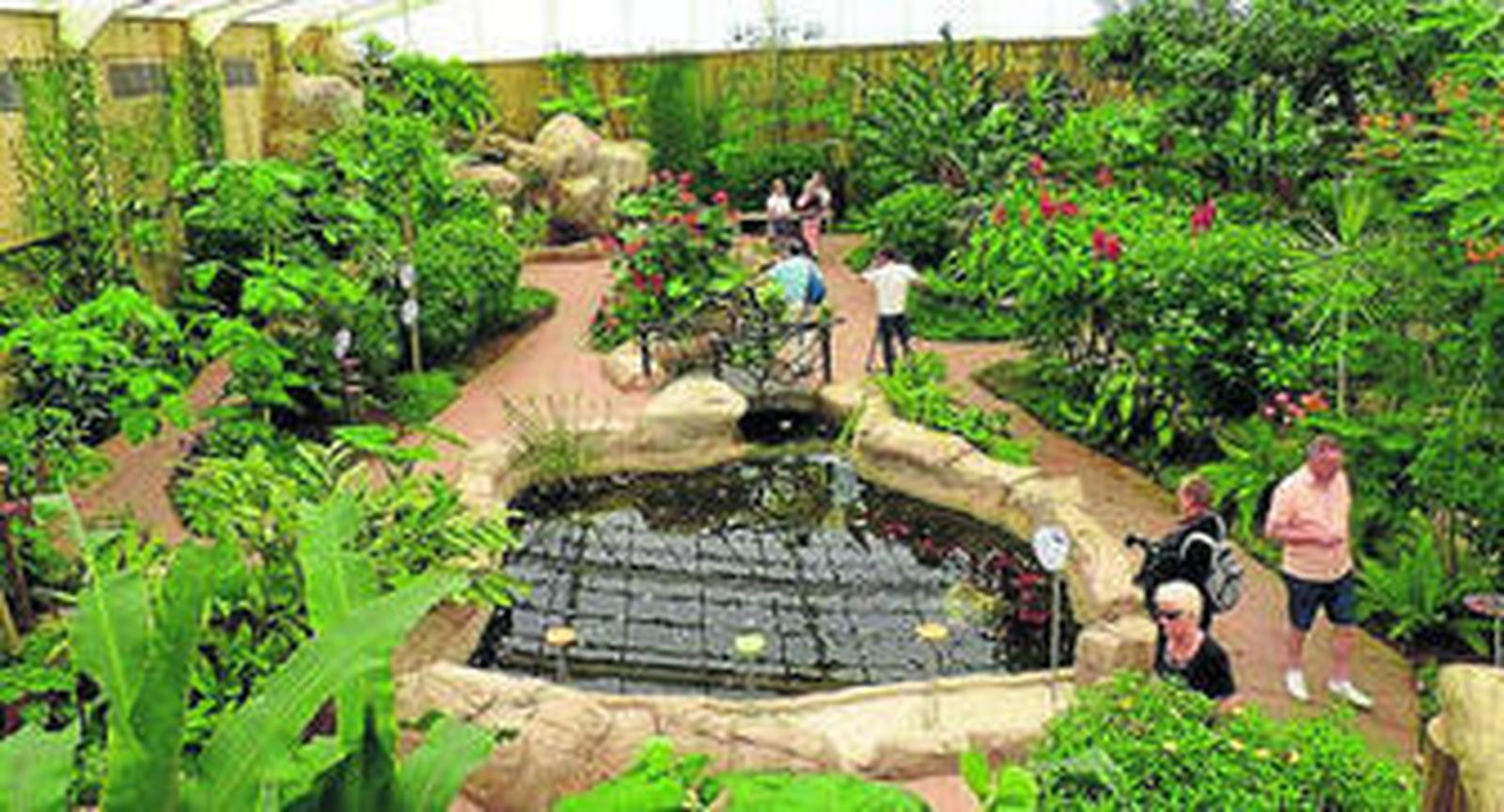 El mayor mariposario de Europa se encuentra en la ciudad malagueña de Benalmadena.