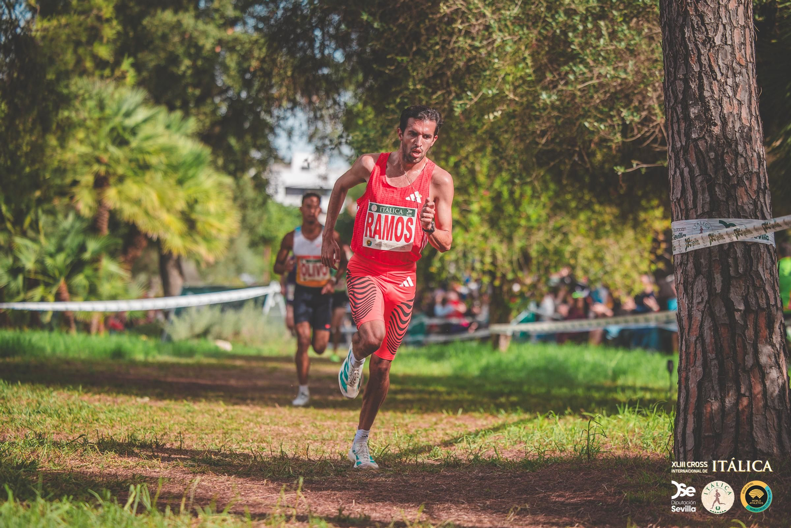 Búscate en las fotos del Cross de Itálica 2025 | 12