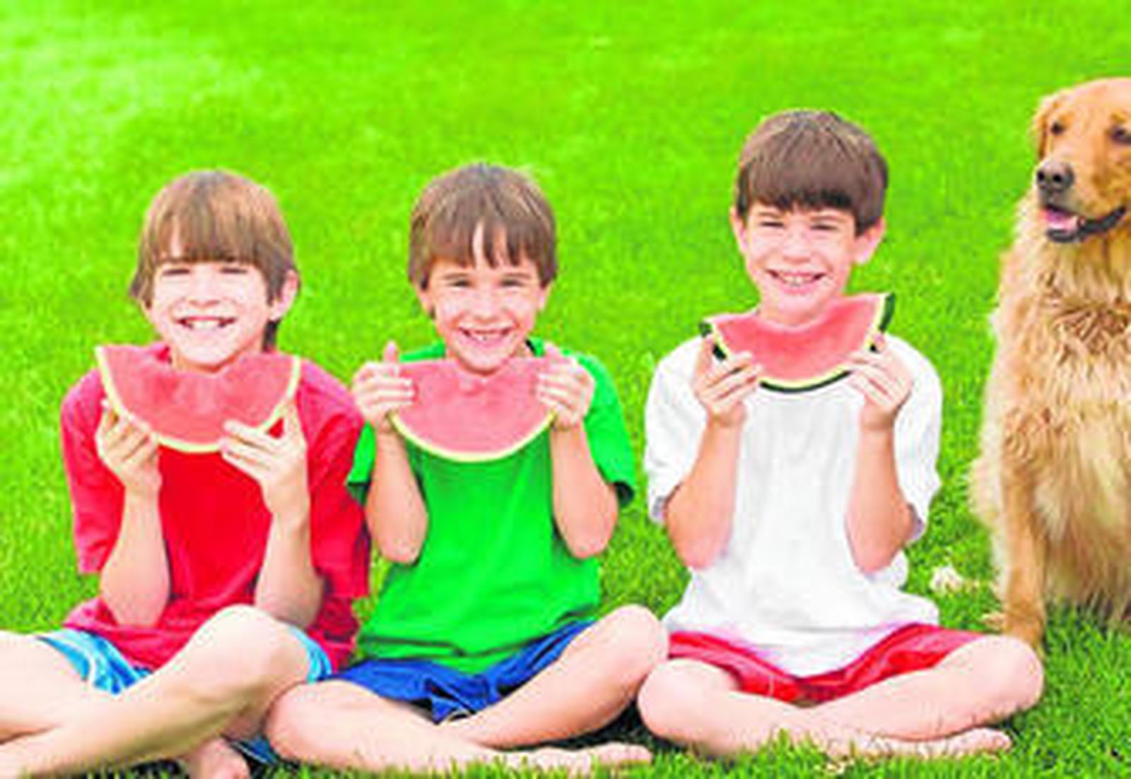 De abril a octubre puede adquirirse la Sandía Fashion en mercados tradicionales y cadenas medias.