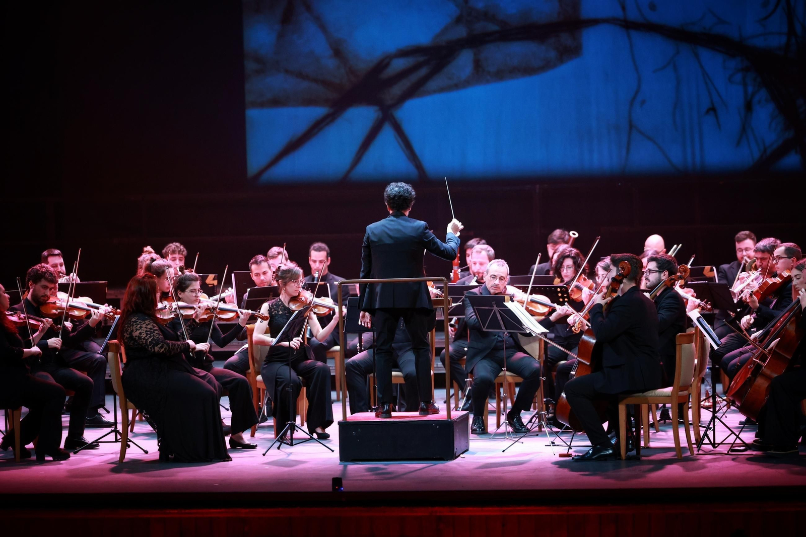 Concierto de la Orquesta de la Universidad de Cádiz en el Falla durante este año 2024. Concierto de la Orquesta de la Universidad de Cádiz en el Falla durante este año 2024.
