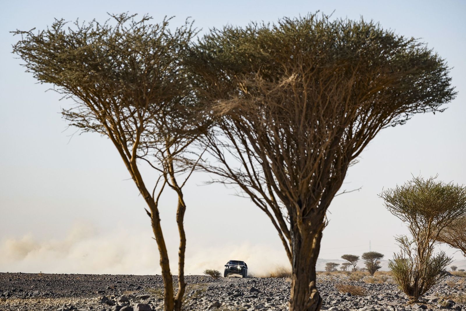 Las mejores fotos del Rally Dakar | Novena etapa