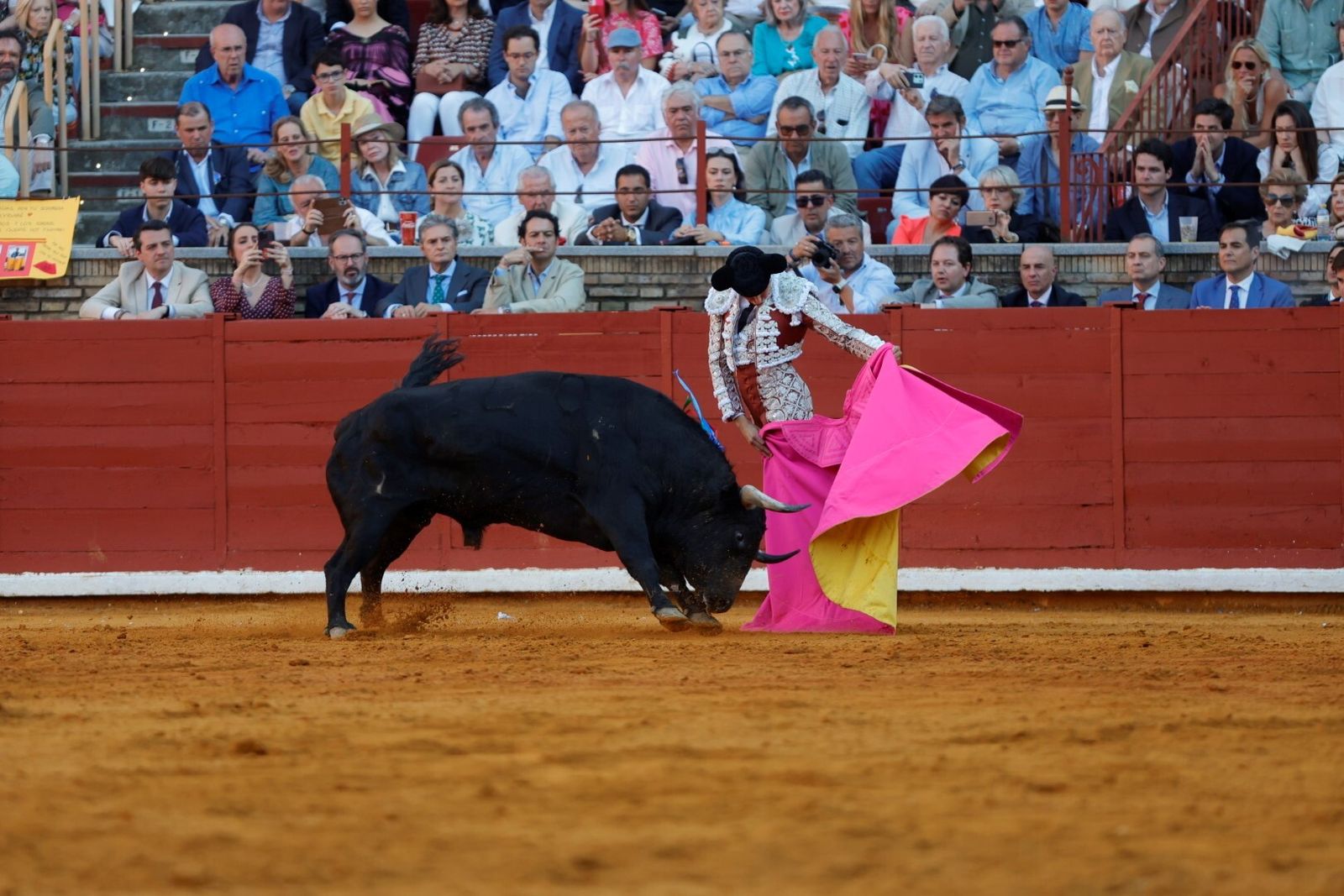 Las mejores fotos de la corrida de Morante, Ortega y Roca Rey en la Feria Taurina de Córdoba