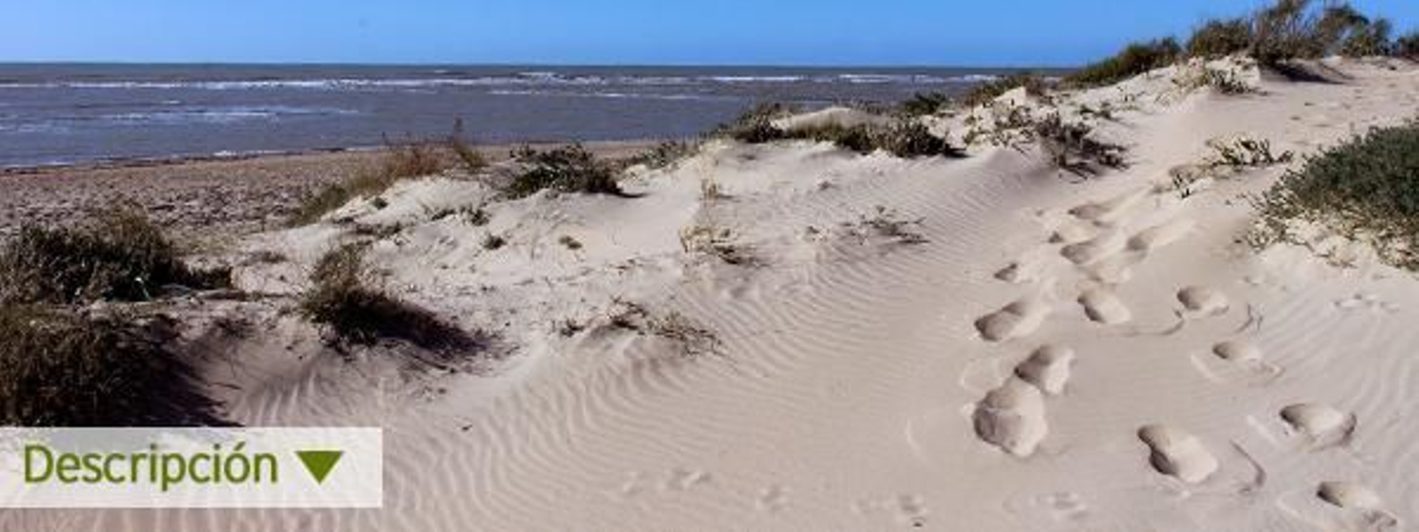 Cordón dunar de Rota