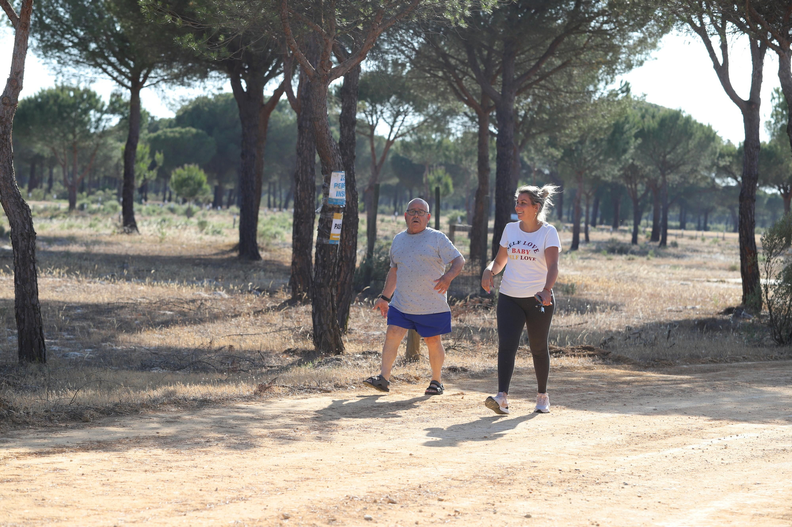 Imágenes del estado en el que se encuentran los caminos del Rocío para la Romería 2023