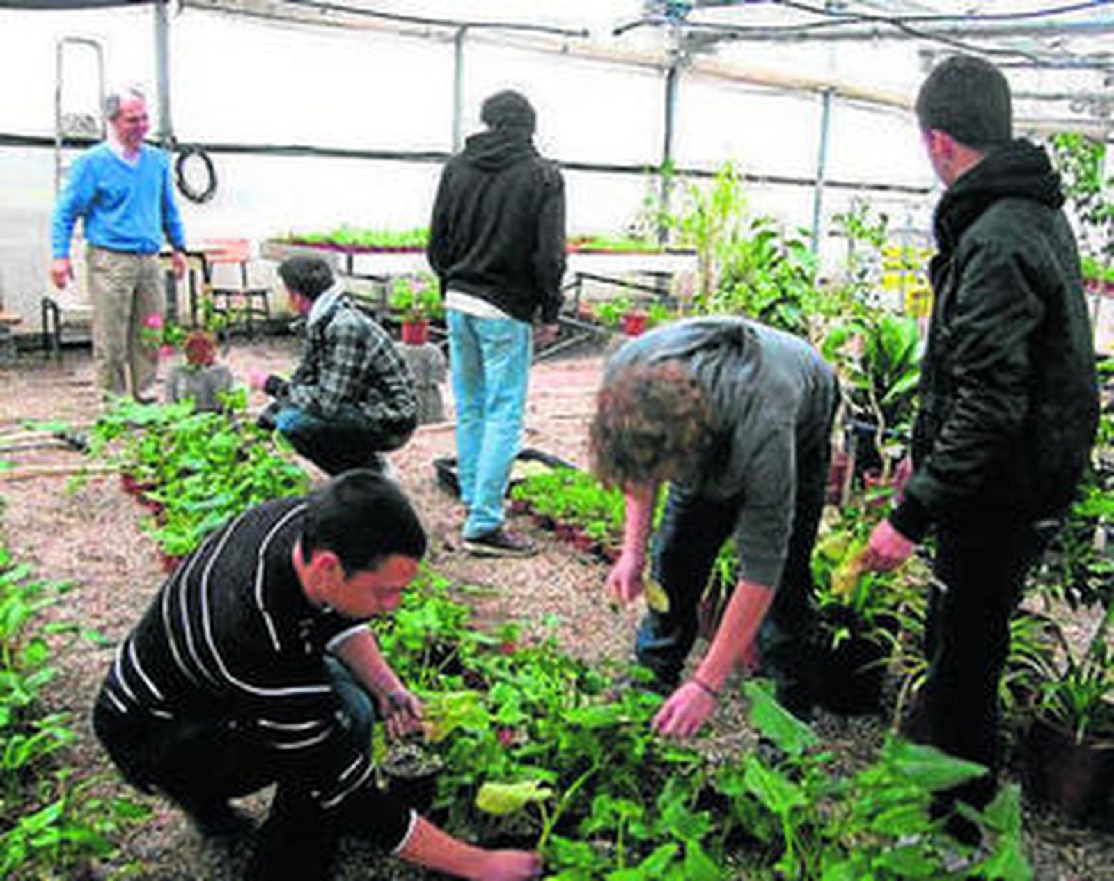 Las actividades de campo complentan el aprendizaje.