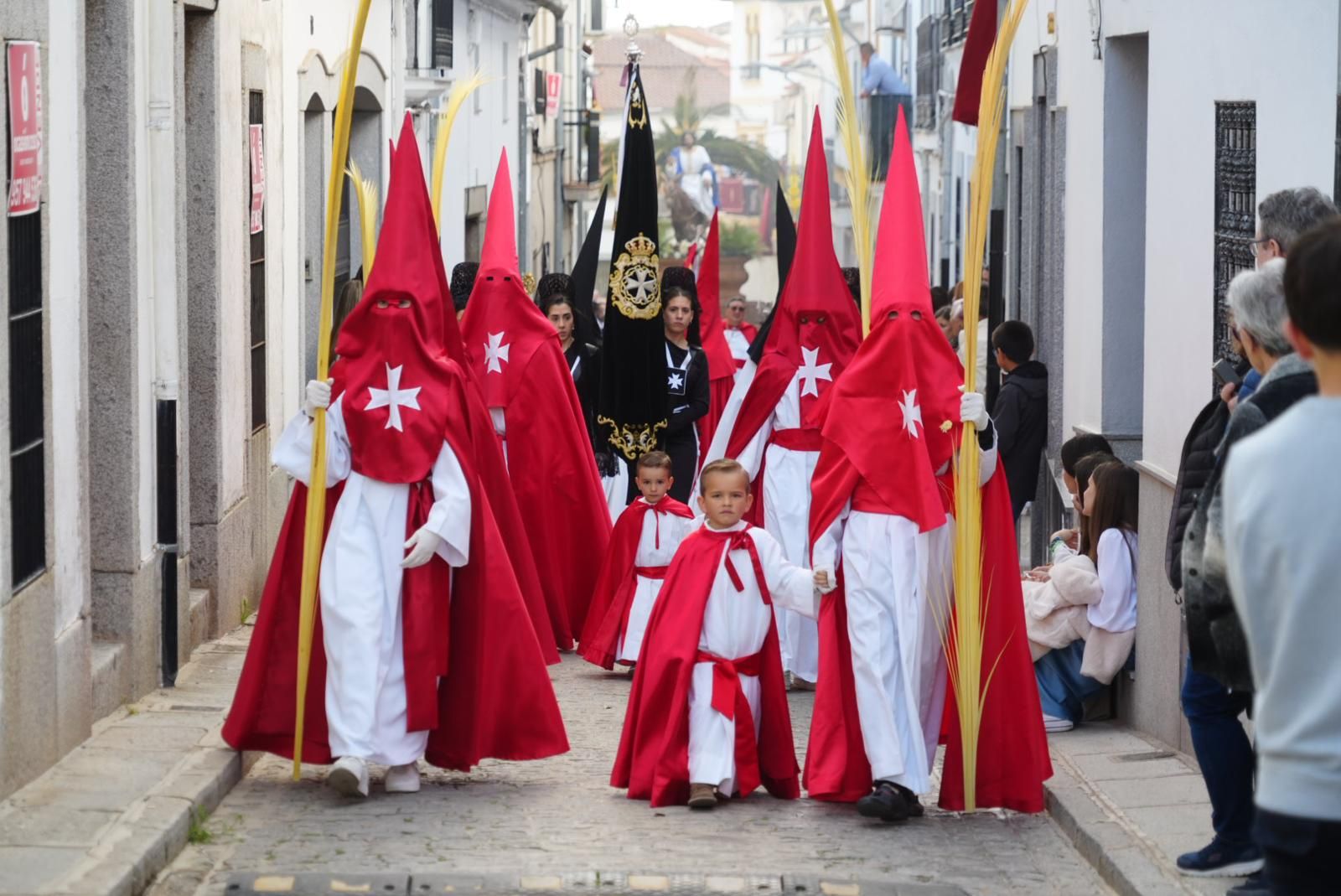 La procesión de la Borriquita en Pozoblanco