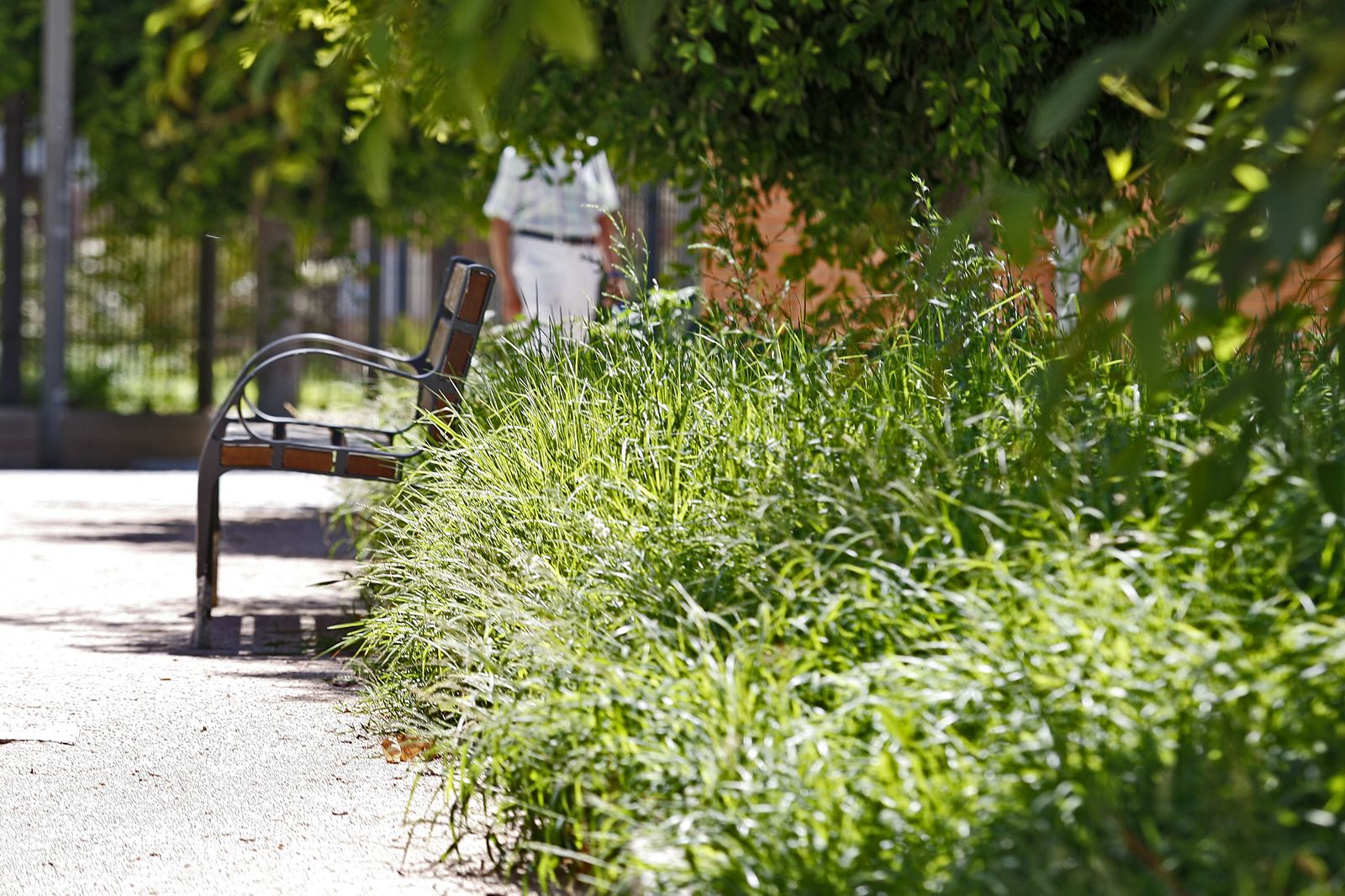 Plantas en un jardín del barrio de Astilleros de Cádiz.