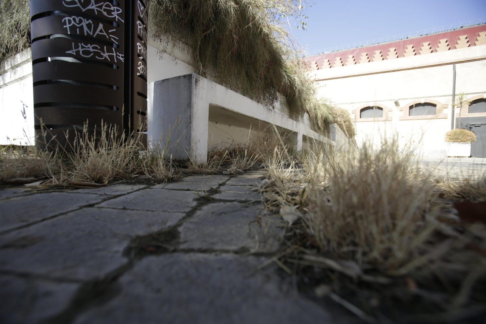 Abandono y mal estado de la plaza entre Mercadona y Plaza de Armas