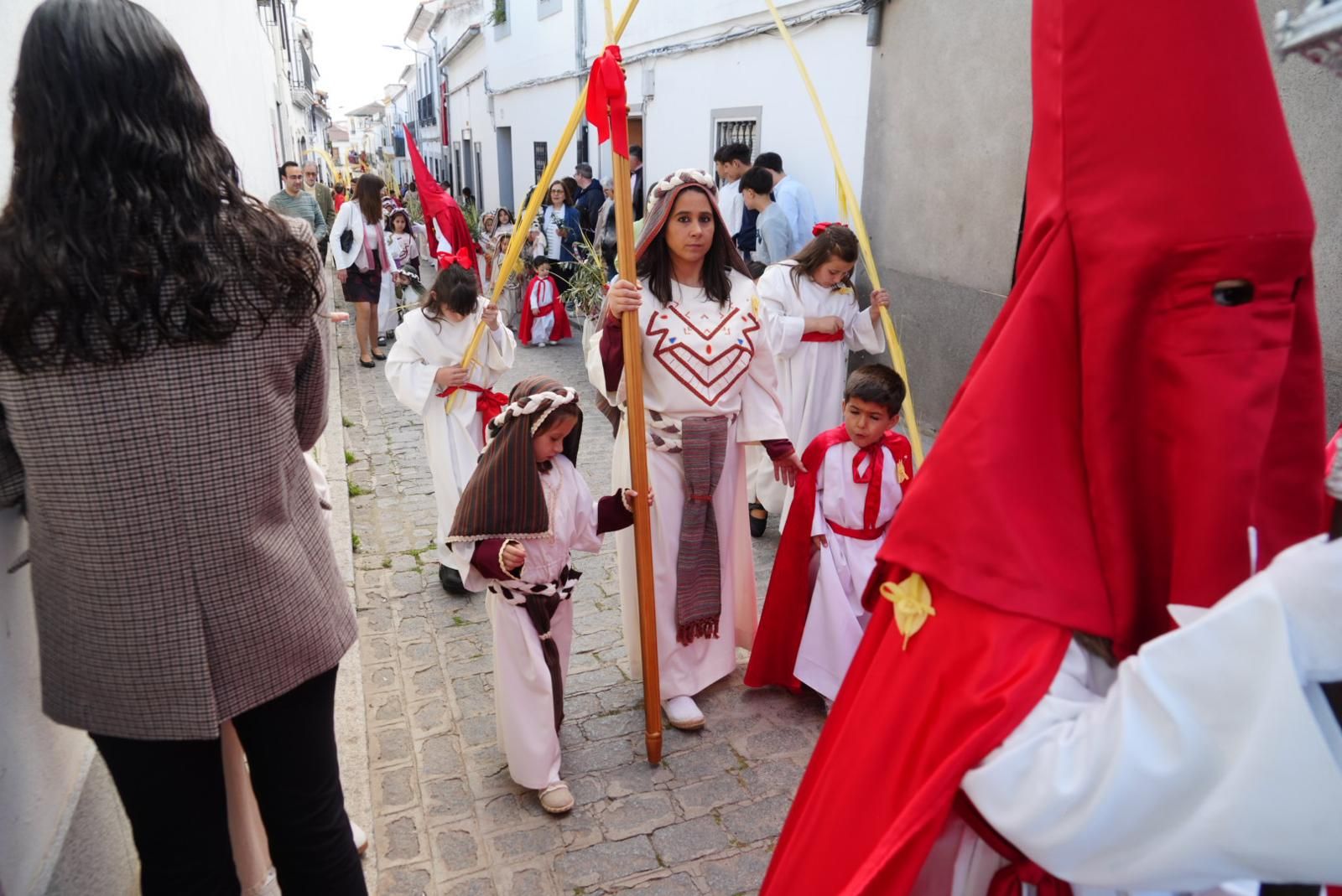 La procesión de la Borriquita en Pozoblanco