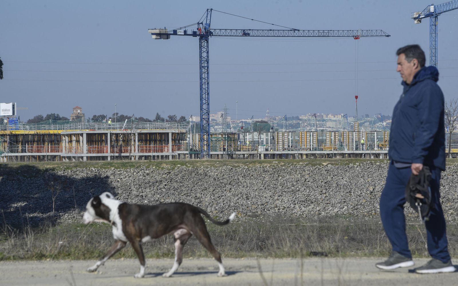 Un vecino pasea a su perro cerca de unas obras en Palmas Altas.