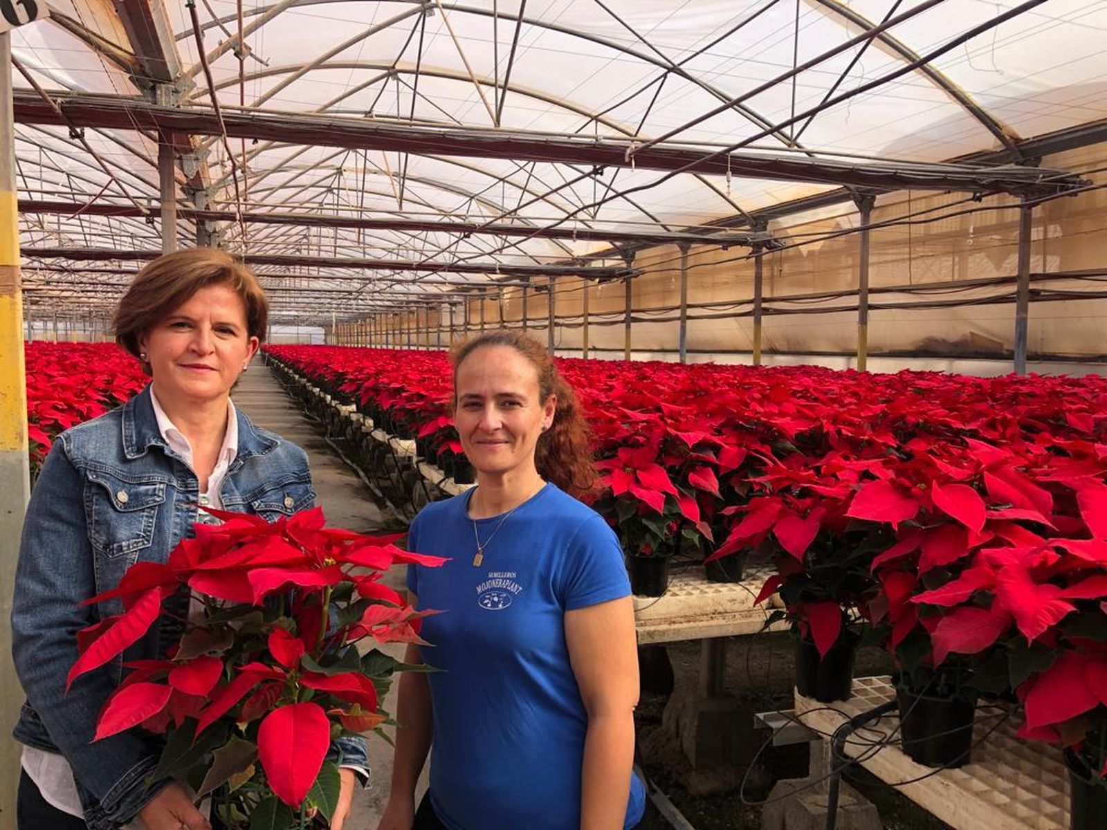 La presidenta de Asaja Almería, Adoración Blanque, con flores de Pascua almerienses
