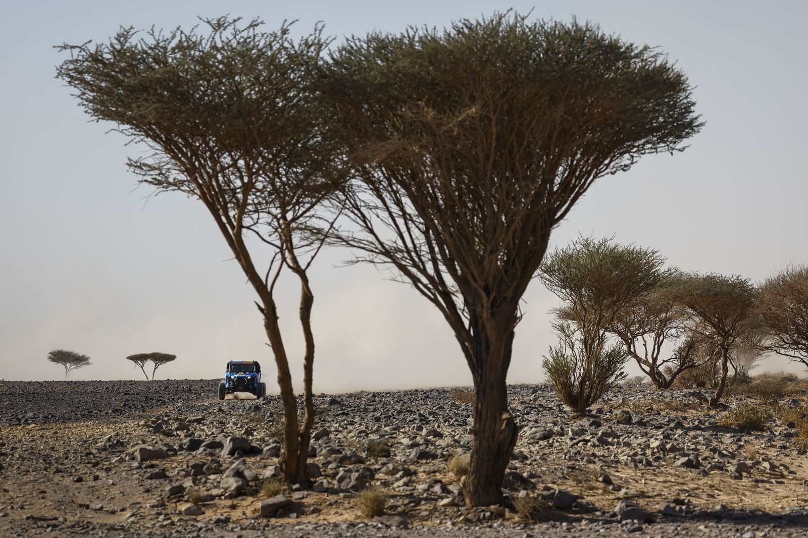 Las mejores fotos del Rally Dakar | Novena etapa