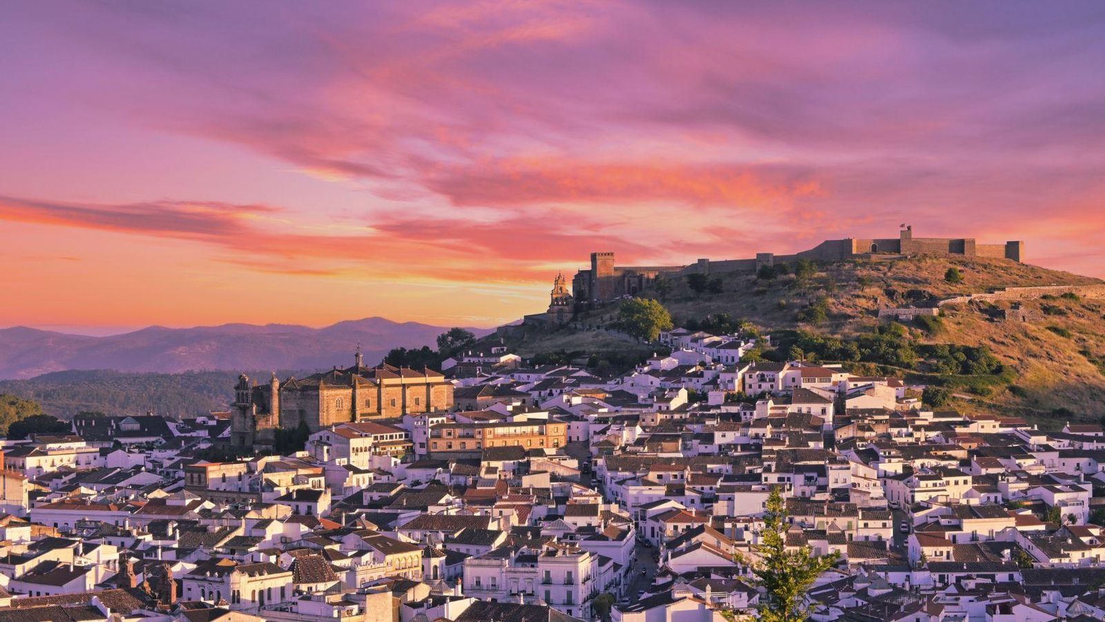 Aracena Aracena