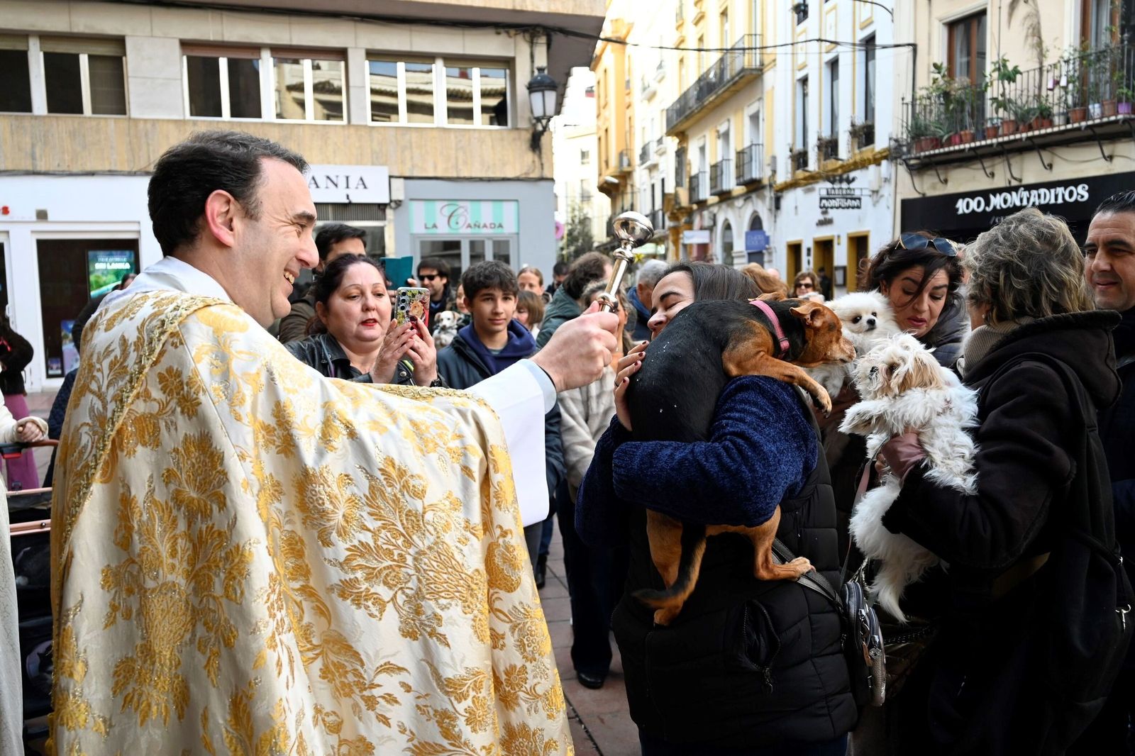 La bendición de animales por San Antón en Córdoba