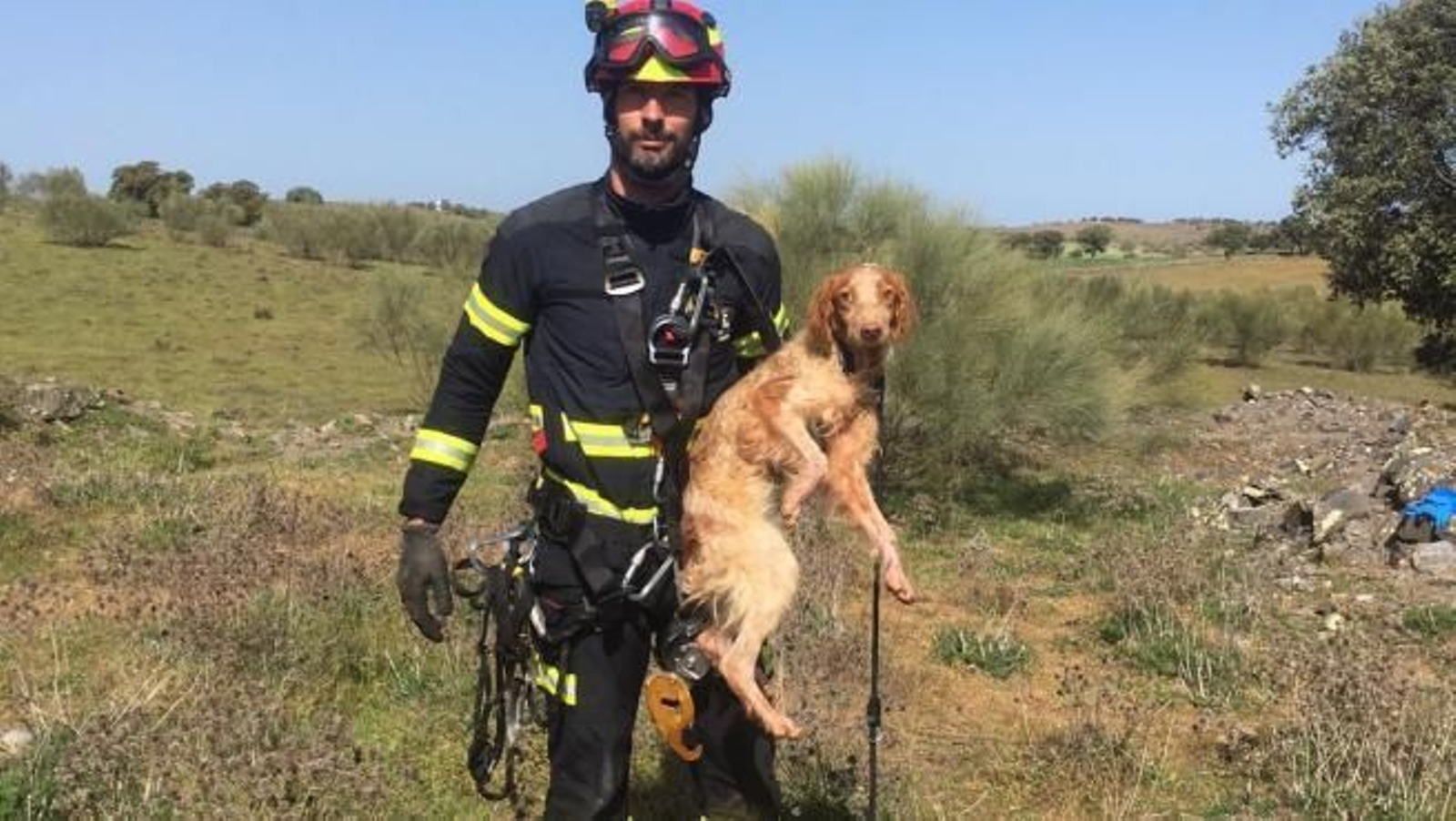 Denuncian la existencia de una mina abandonada usada para "acabar con la vida de perros de caza"