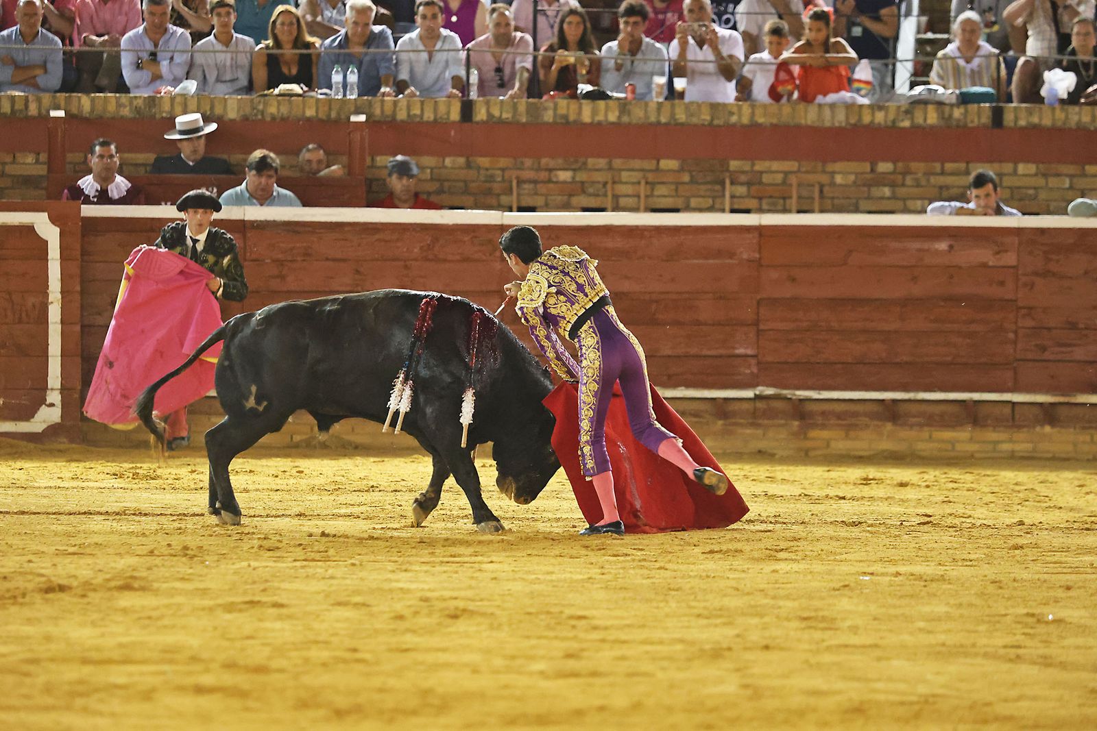 Toros La Merced 2024 Novillada con picadores(
