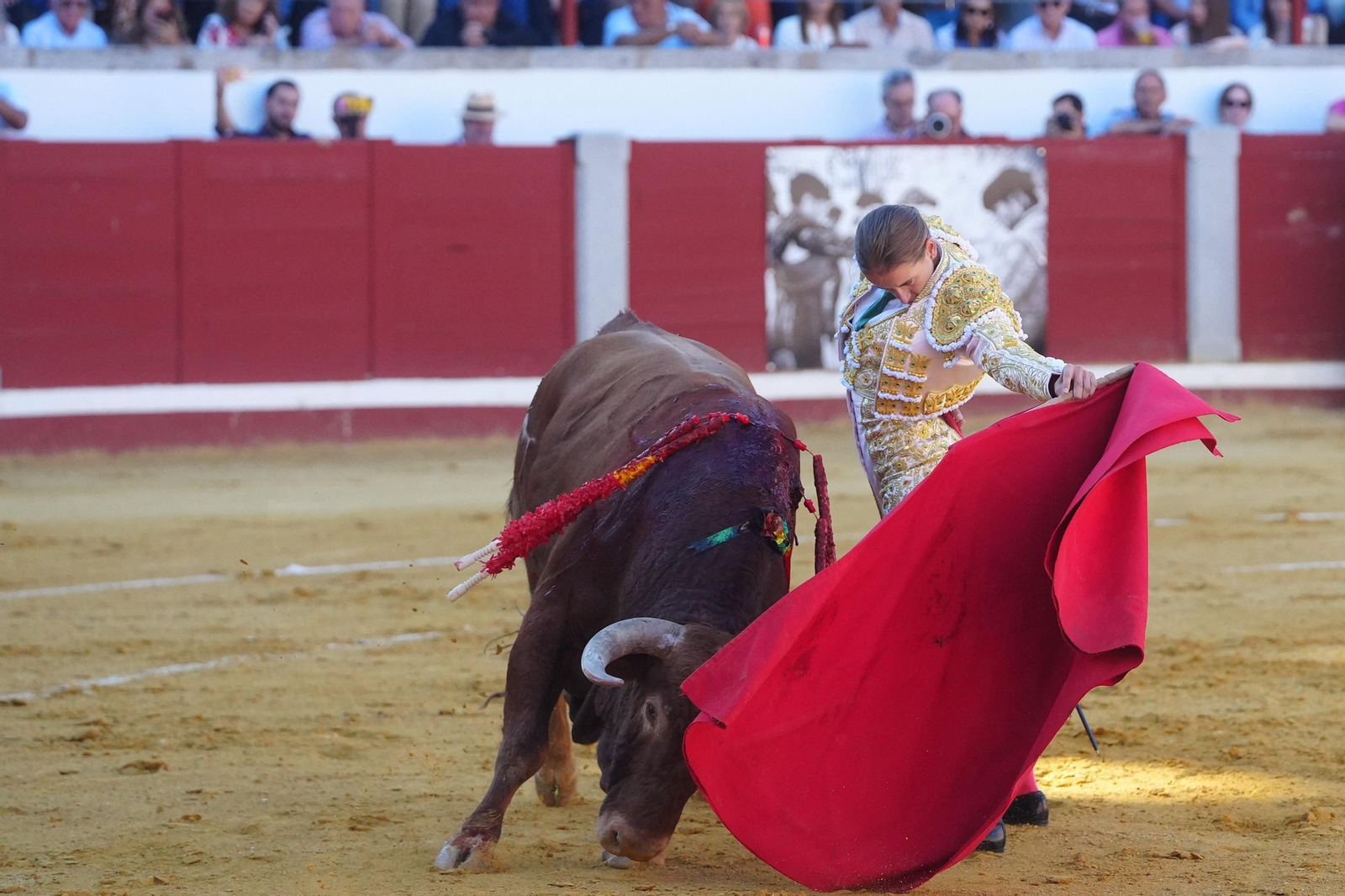 El triunfo de Rocío Romero, Manzanares y Roca Rey en la plaza de toros Pozoblanco, en imágenes