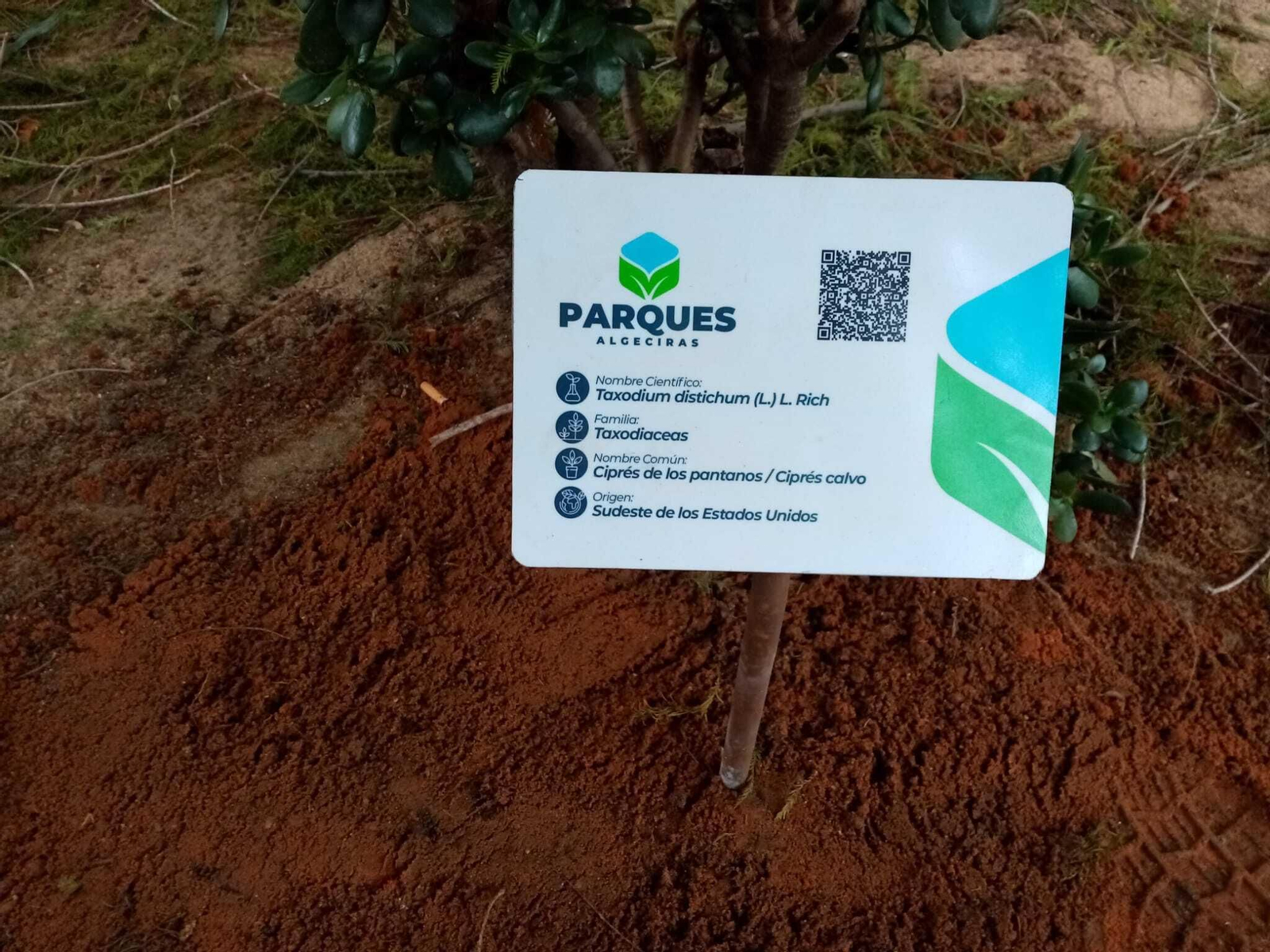 Uno de los carteles con un código QR.