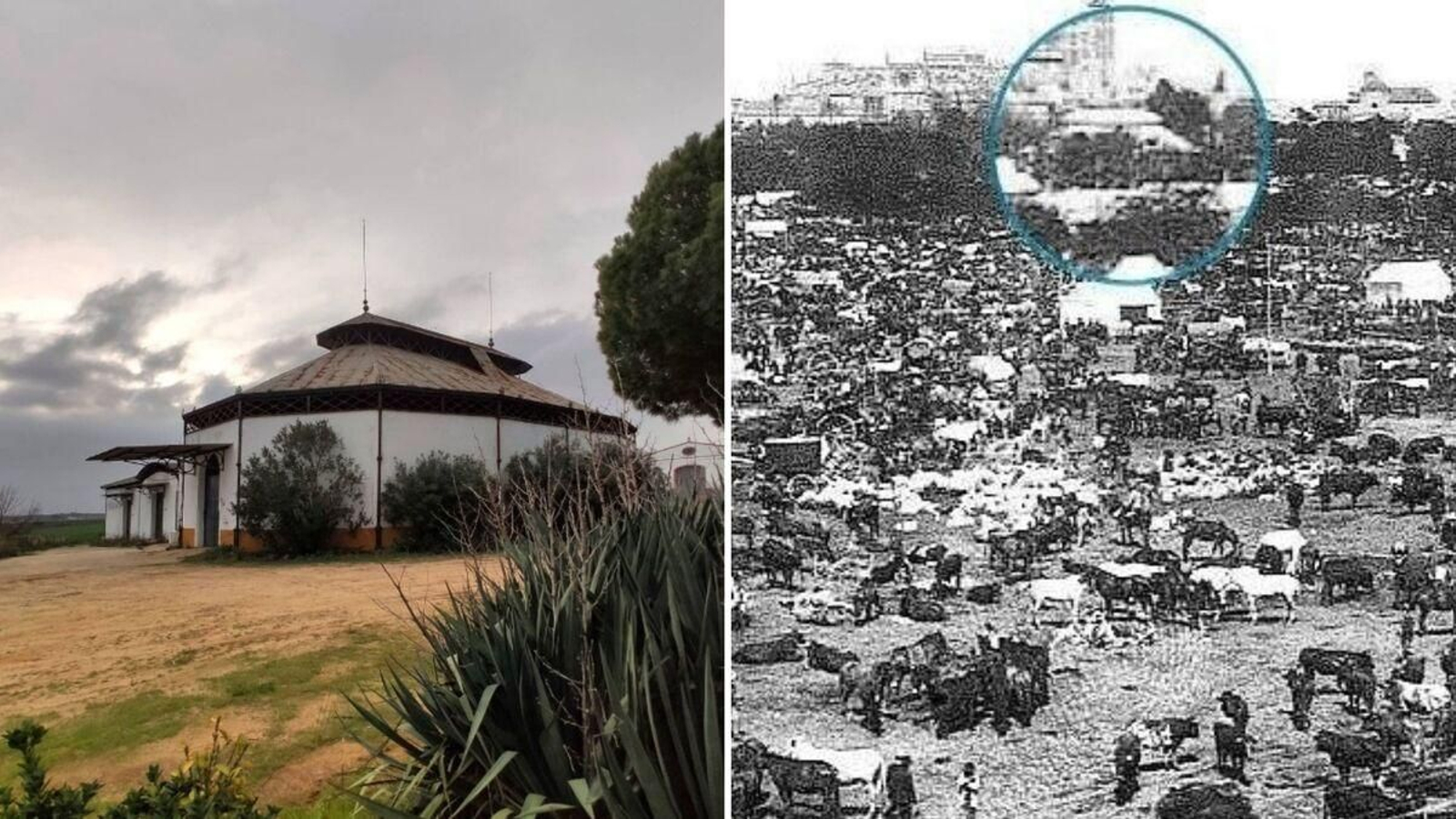 Majuelo de Soto | CHEMA ARIAS