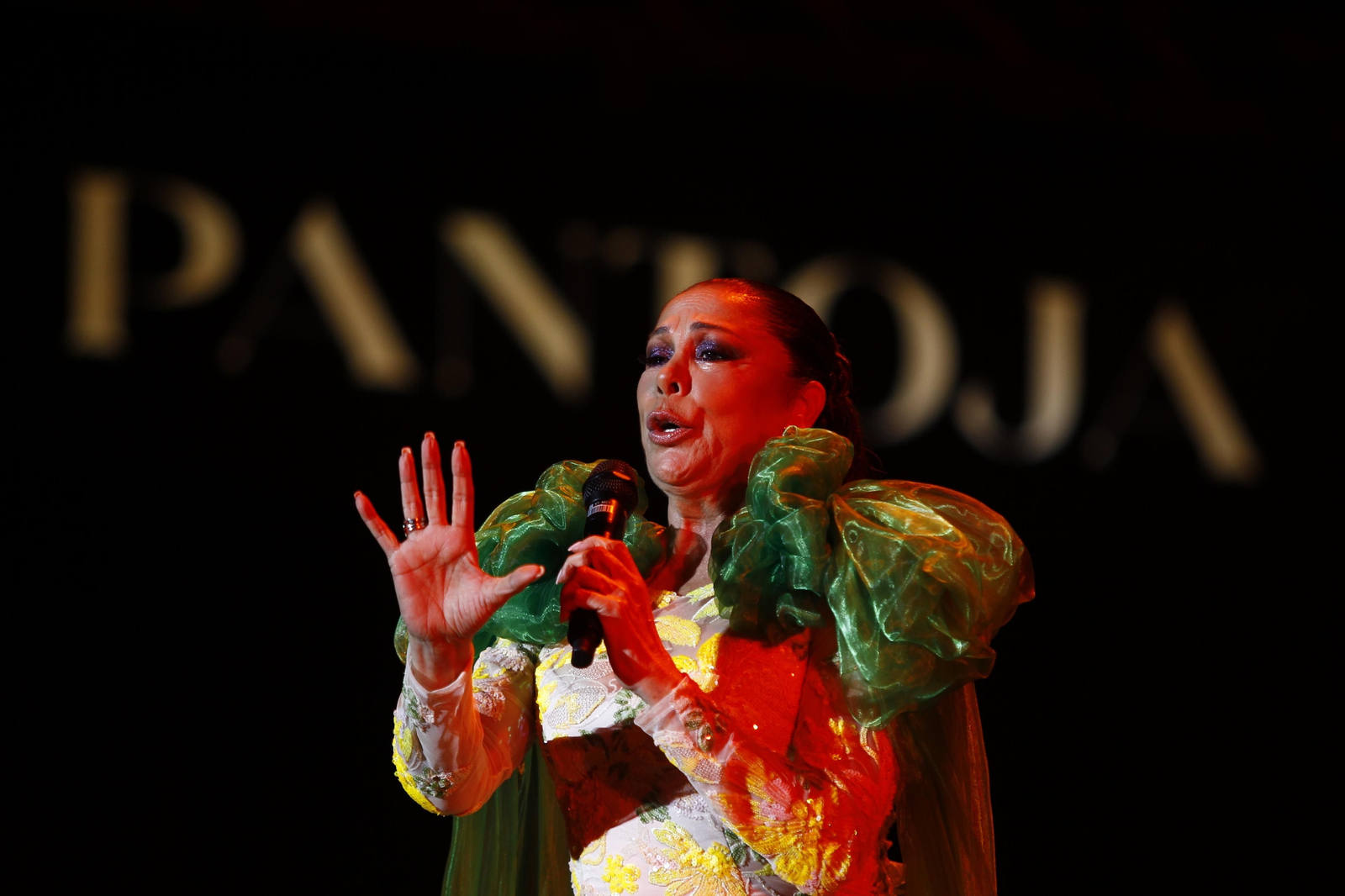 Isabel Pantoja cautiva al público de Almería en la plaza de toros