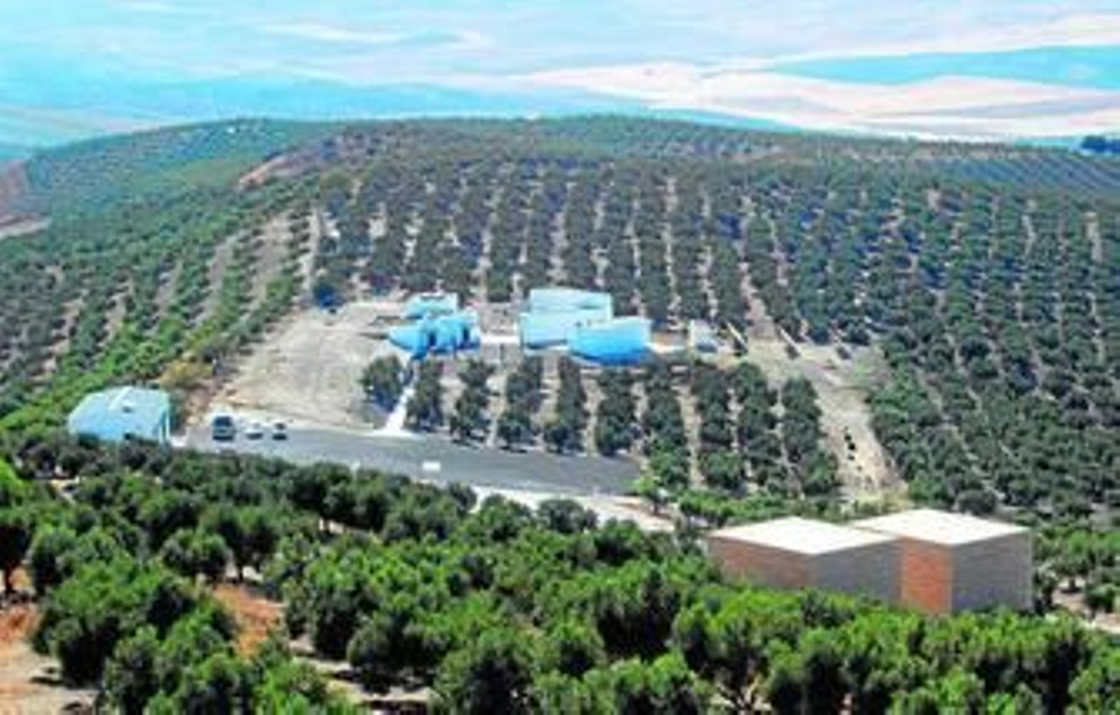 Vista aérea de la nueva infraestructura que dará acceso al yacimiento arqueológico.