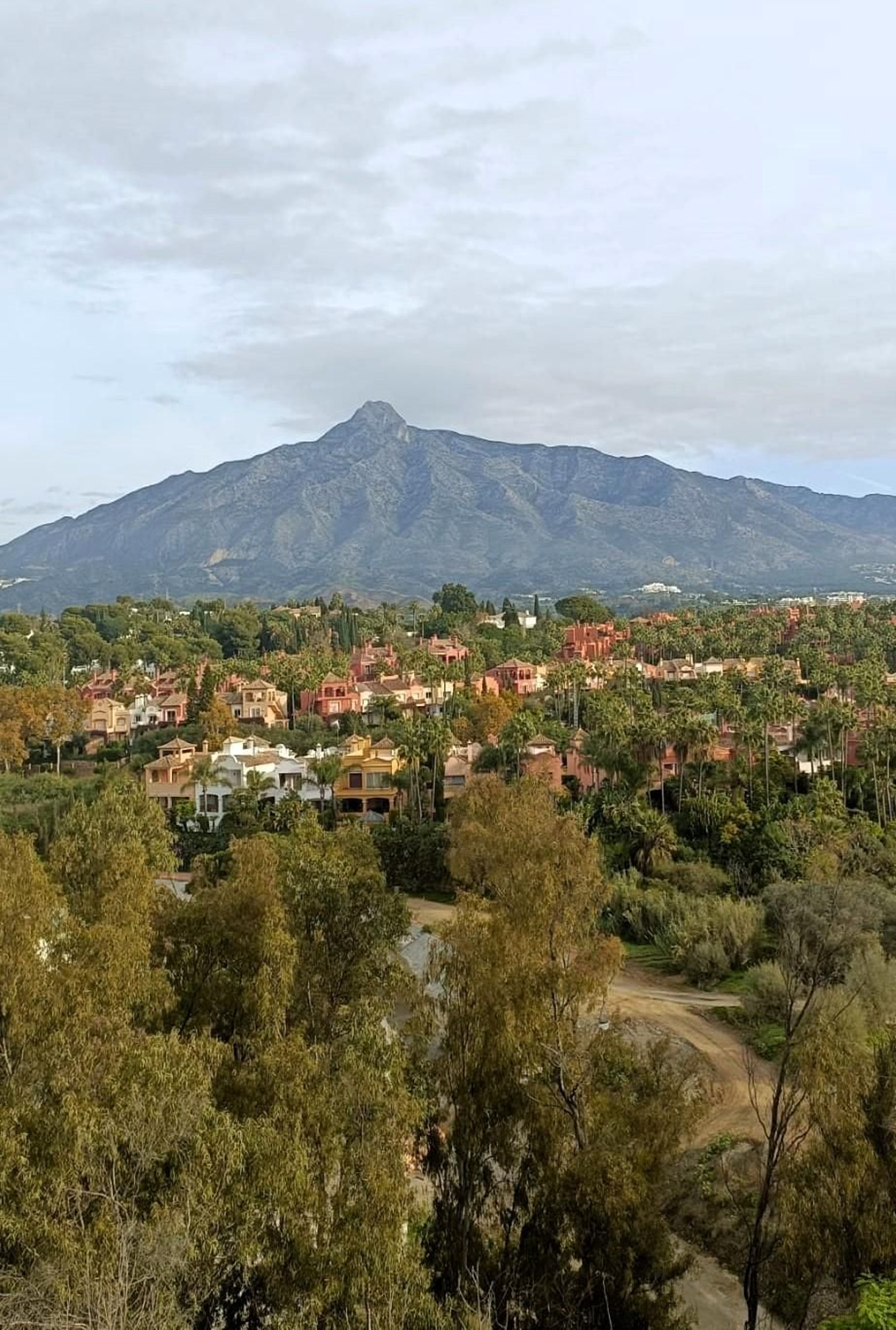 Vista parcial de Nueva Andalucía desde el Centro Plaza.
