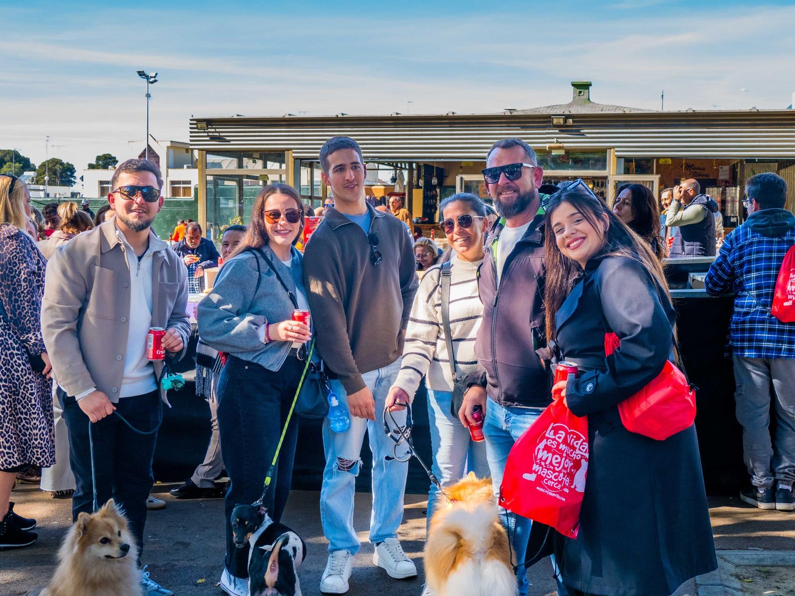 Las imágenes de San Antón 2025 en San Fernando