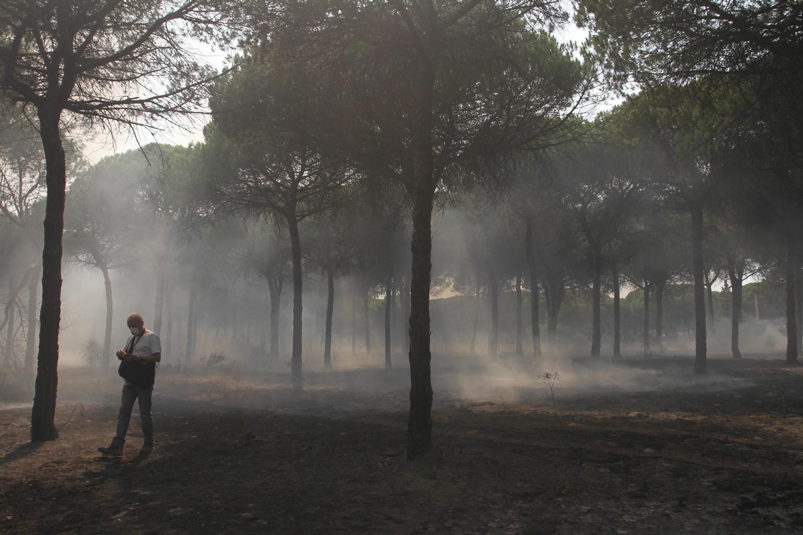 Las imágenes del incendio en Moguer y Mazagón