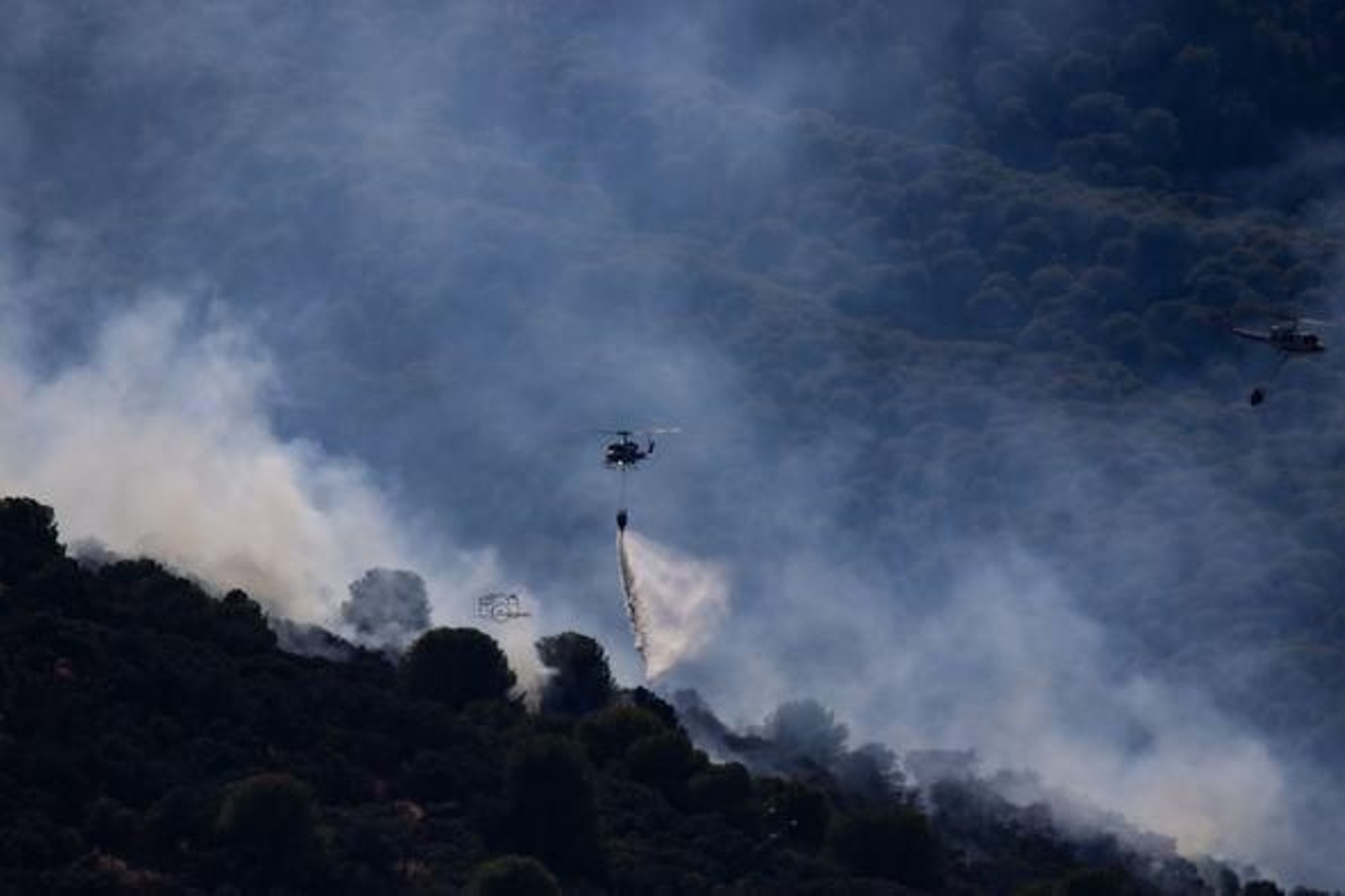 Así es el trabajo de los bomberos y equipos de extinción en el incendio de Andújar, en imágenes