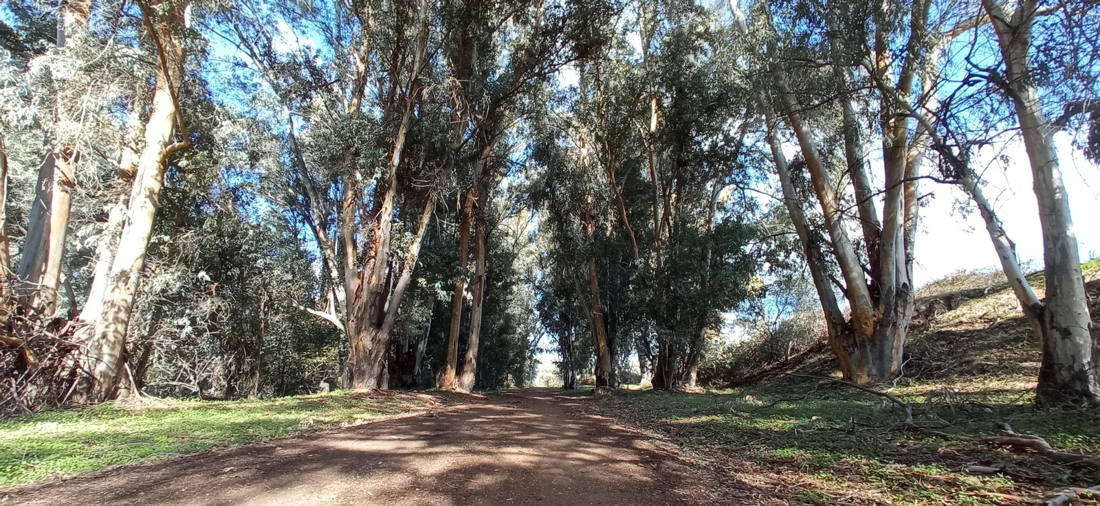 Las imágenes de la ruta ornitológica del corredor verde
