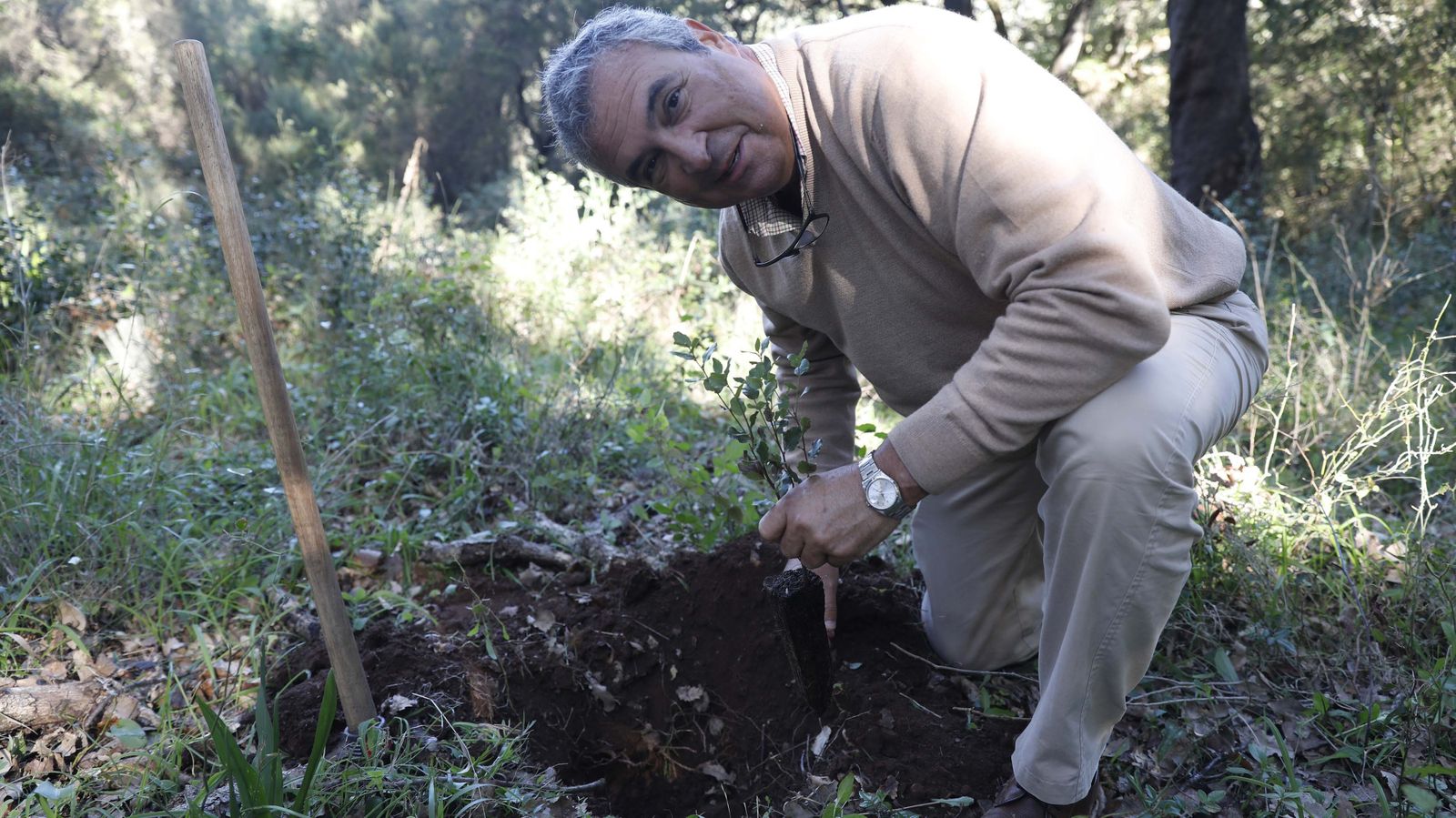 Jornada de reforestación en El Palancar por trabajadores de Acerinox, en imágenes