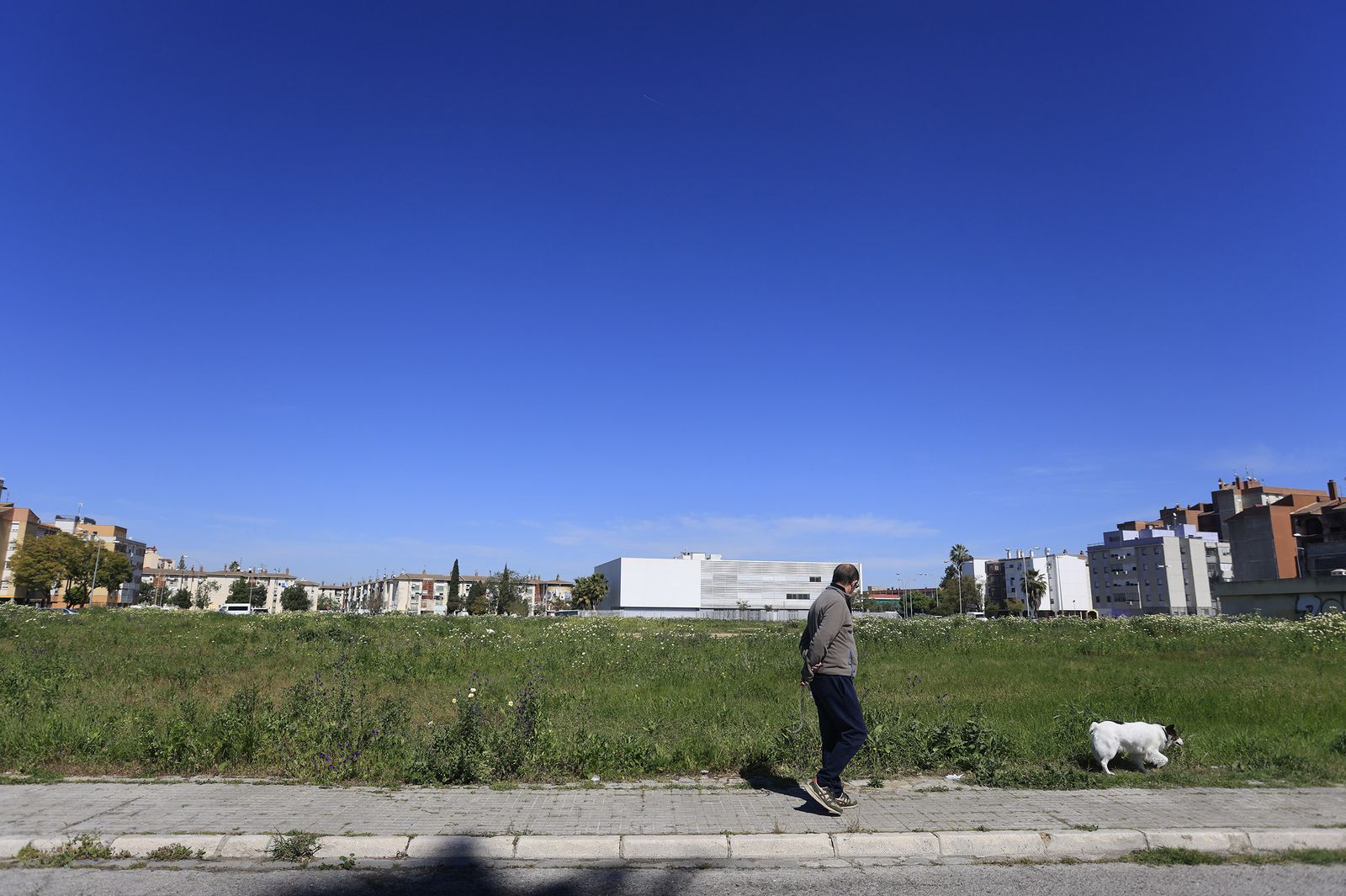 Un hombre pasea con un perro junto al conocido como 'el gran vacío' de la barriada de Martínez Montañés.