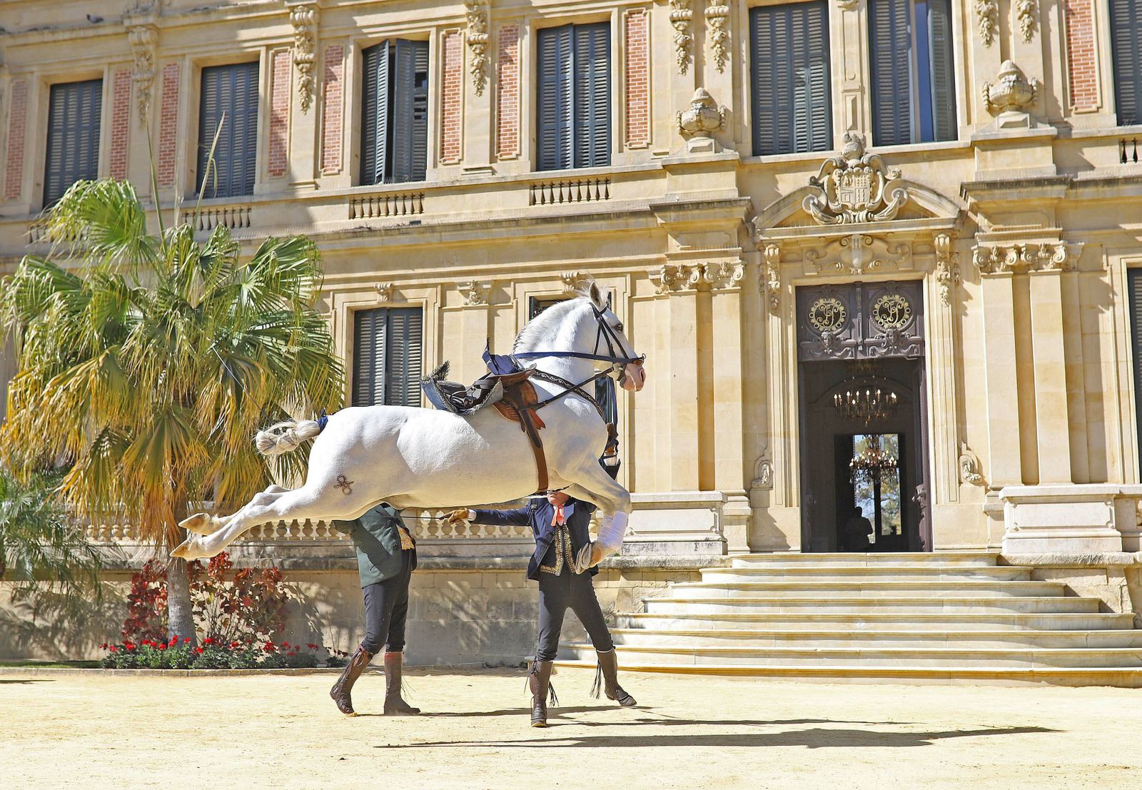 Imágenes del maridaje 'Vinos y Caballos'